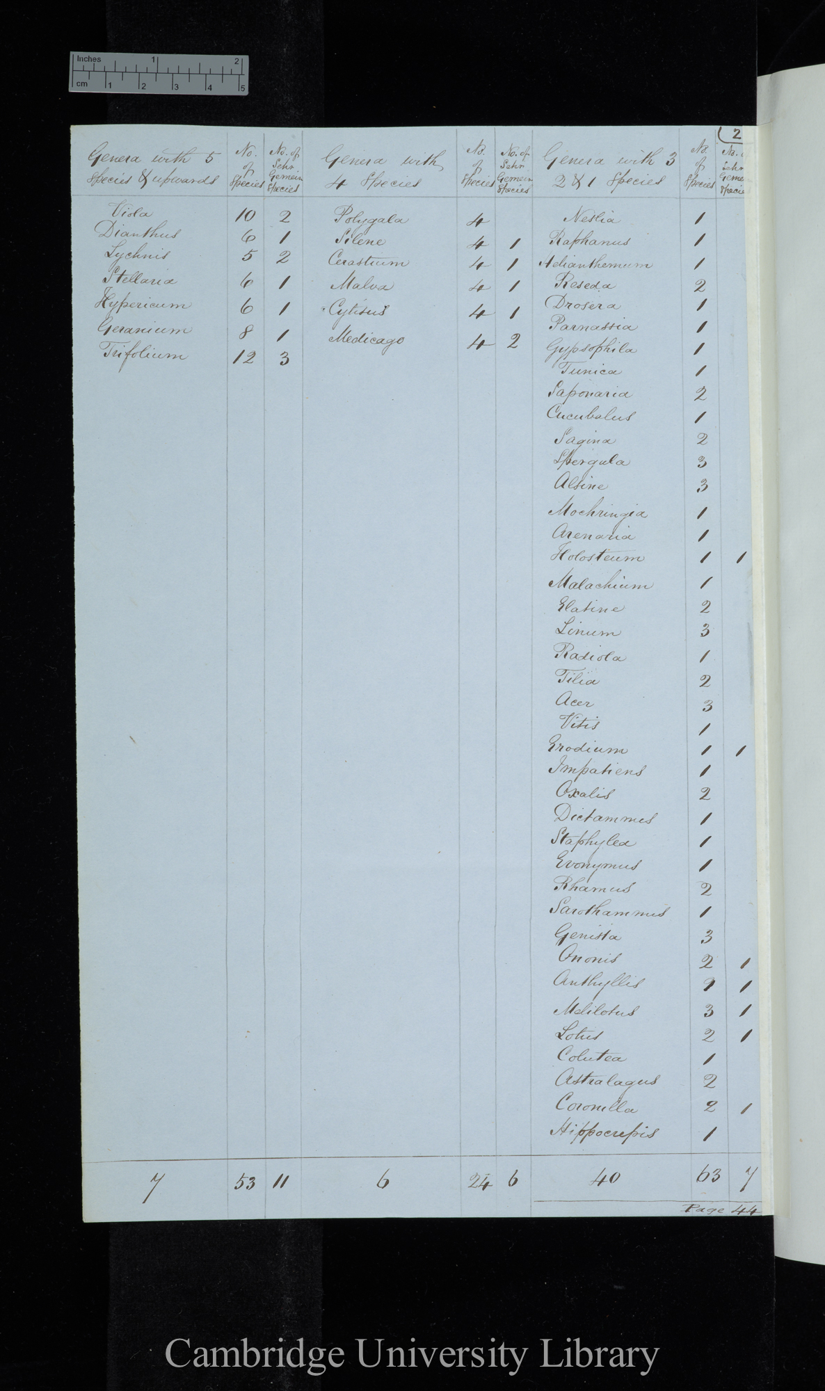 Furnrohr / Genera with 5 species &amp; upwards / Genera with 4 species / Genera with 3-1 species (table)