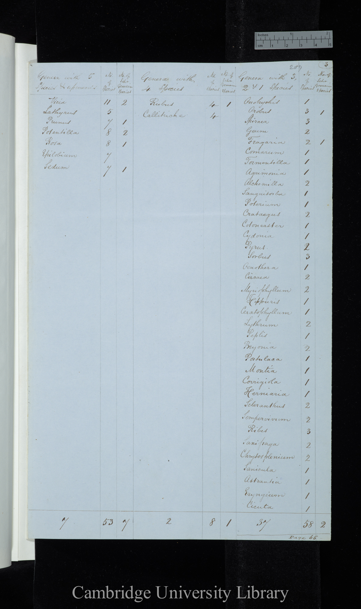 Furnrohr / Genera with 5 species &amp; upwards / Genera with 4 species / Genera with 3-1 species (table)