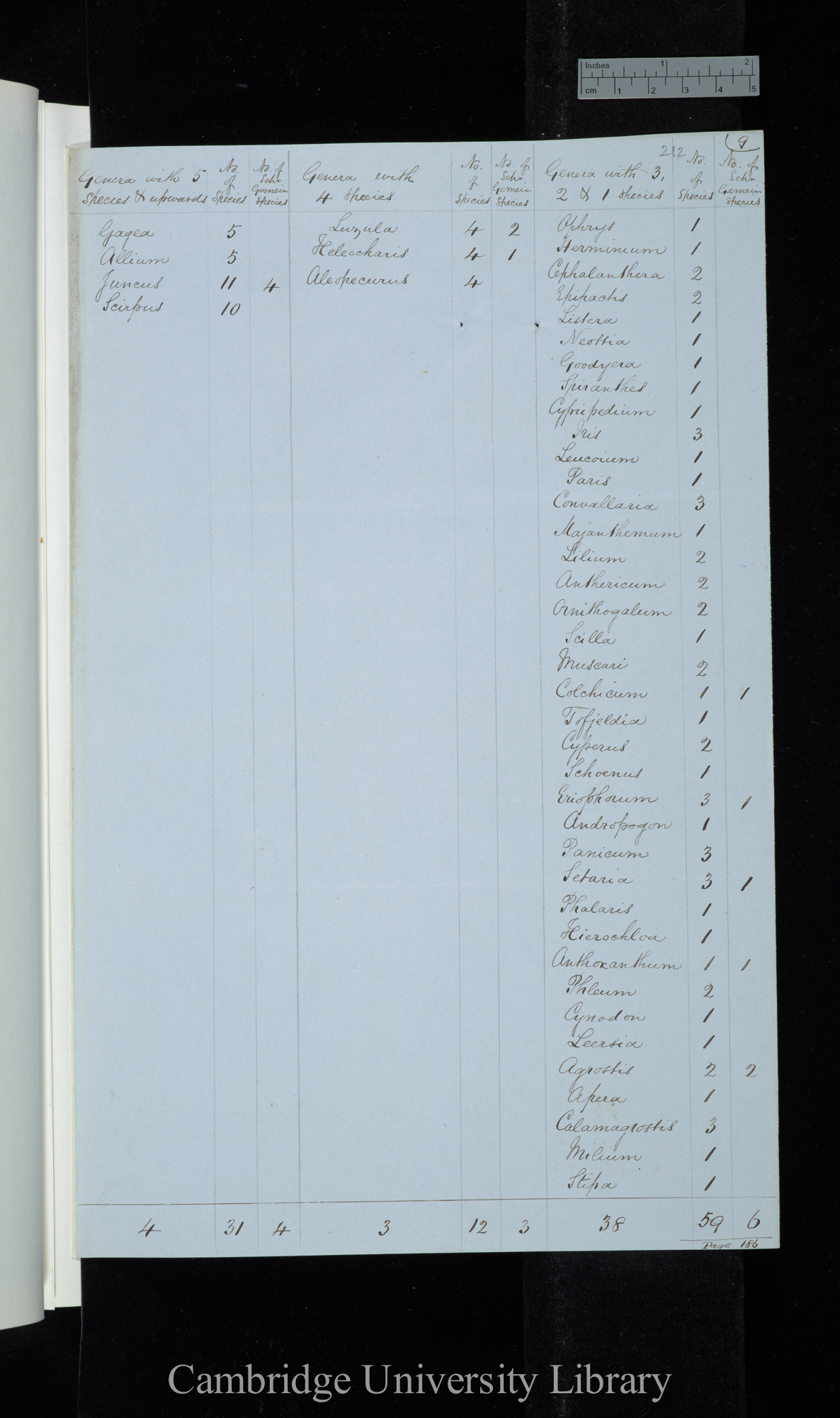 Furnrohr / Genera with 5 species &amp; upwards / Genera with 4 species / Genera with 3-1 species (table)