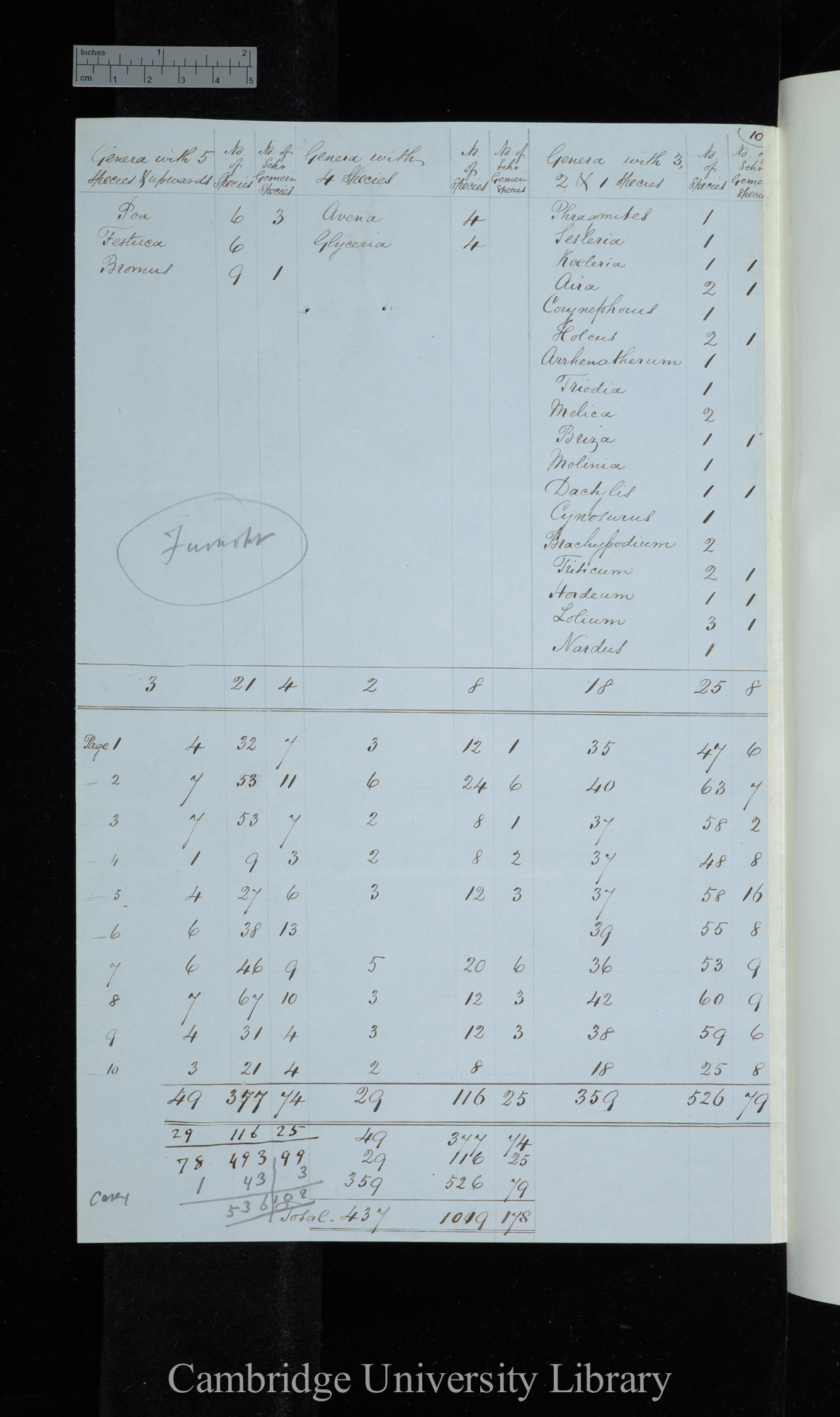 Furnrohr / Genera with 5 species &amp; upwards / Genera with 4 species / Genera with 3-1 species (table)