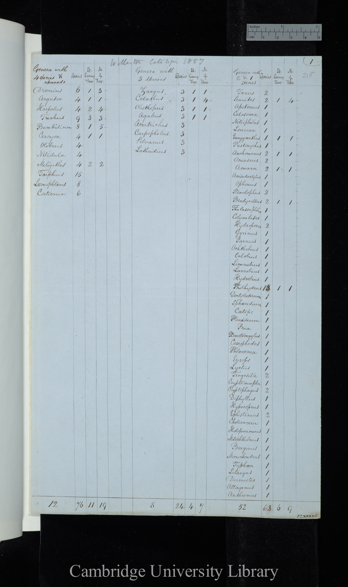 Wollaston Catalogue 1857 / Genera with 4 species &amp; upwards / Genera with 3 species / Genera with 2-1 species (table)