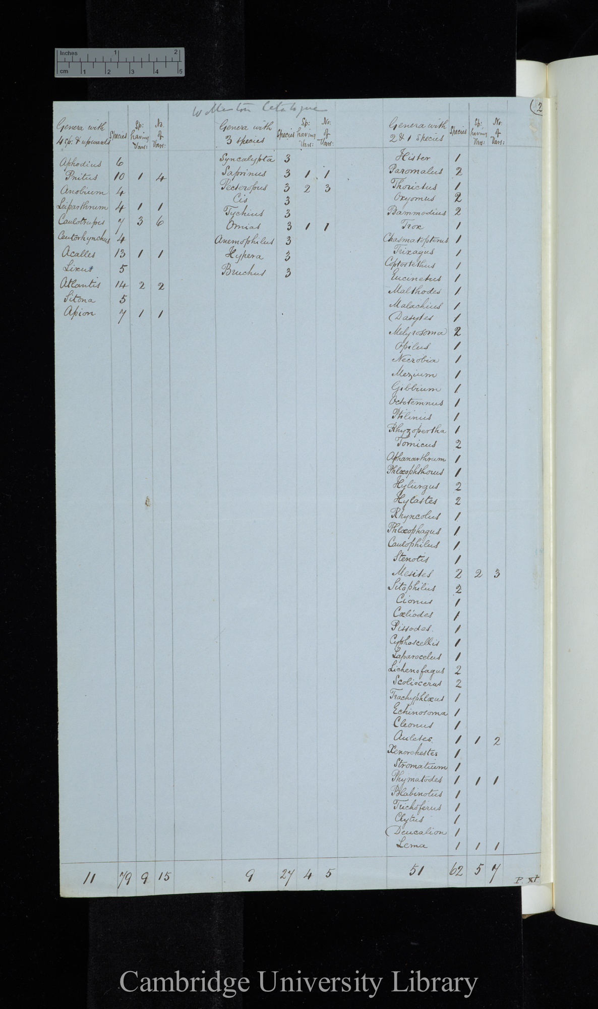 Wollaston Catalogue 1857 / Genera with 4 species &amp; upwards / Genera with 3 species / Genera with 2-1 species (table)