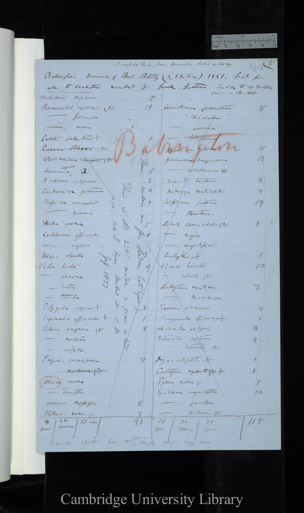 Babingtons Manual of Brit[ish] Botany (3d Edition) 1851 List of all the varieties marked by Greek Letters