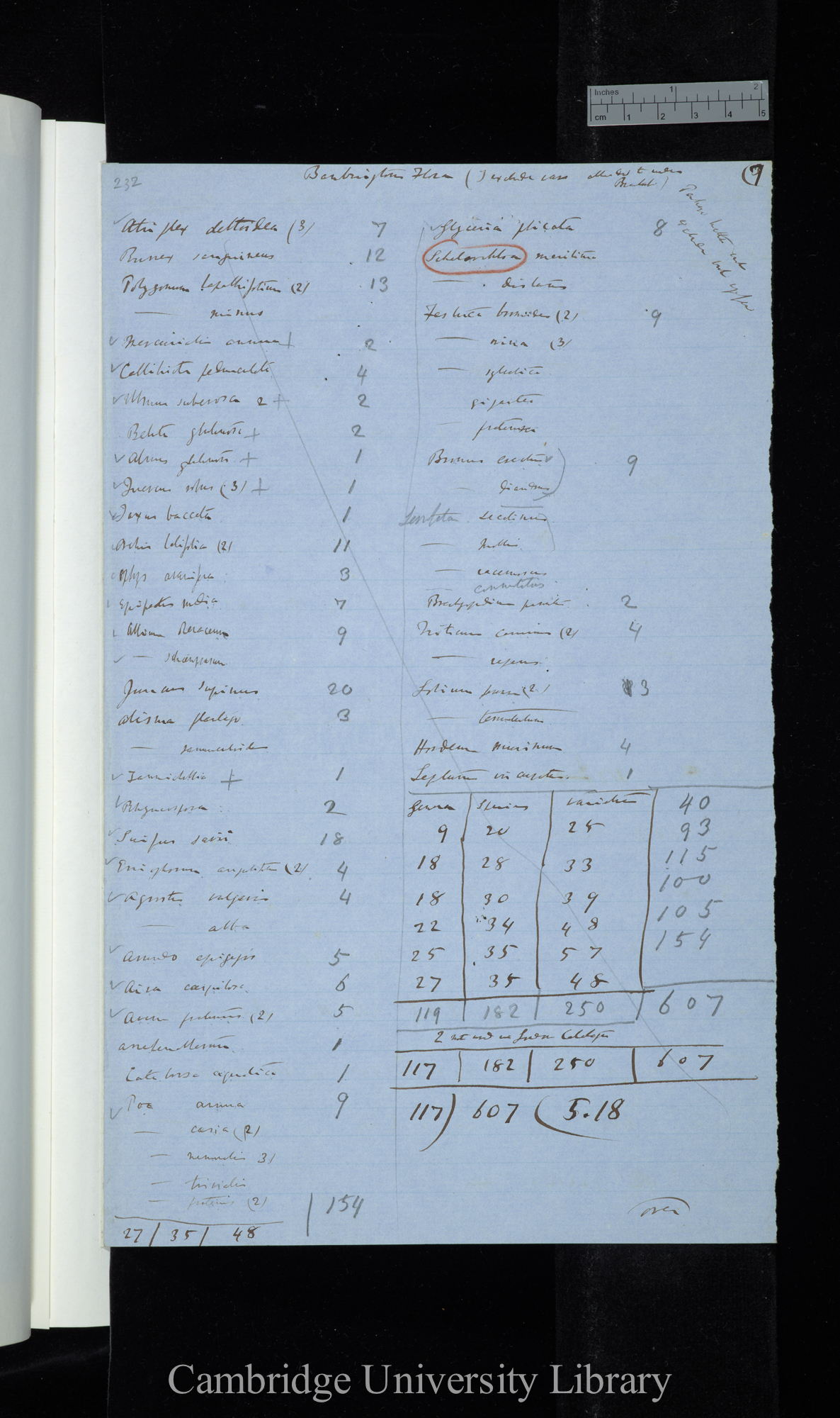 Babingtons Manual of Brit[ish] Botany (3d Edition) 1851 List of all the varieties marked by Greek Letters