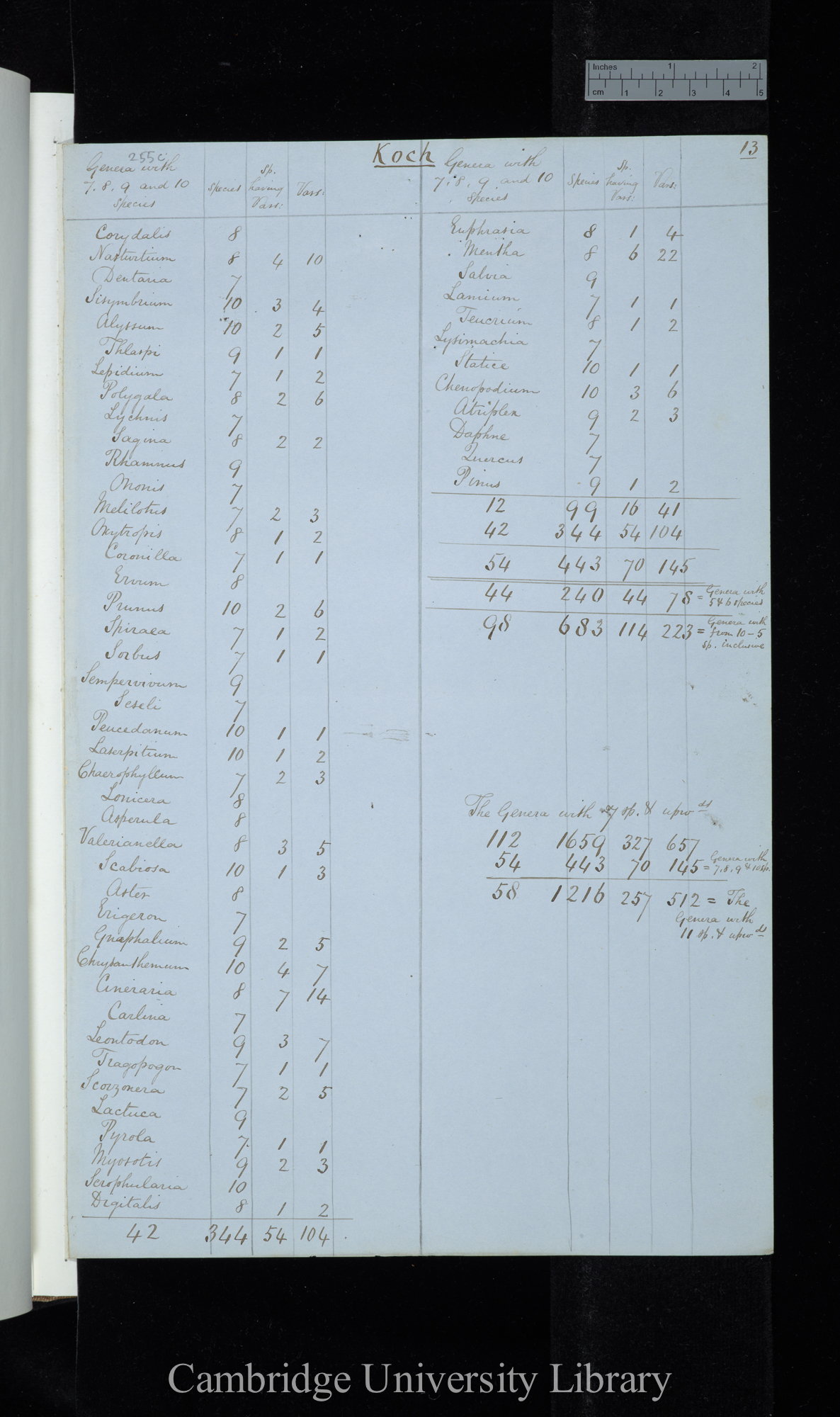 Koch / Genera with 7-10 species (table)