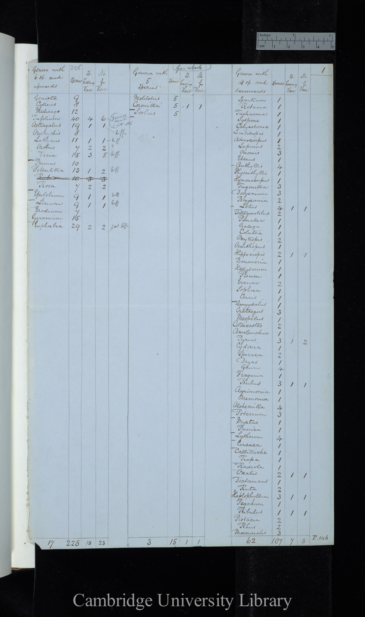 Grisebach / Genera with 6 species &amp; upwards / Genera with 5 species / Genera with 4 species &amp; downwards (table)