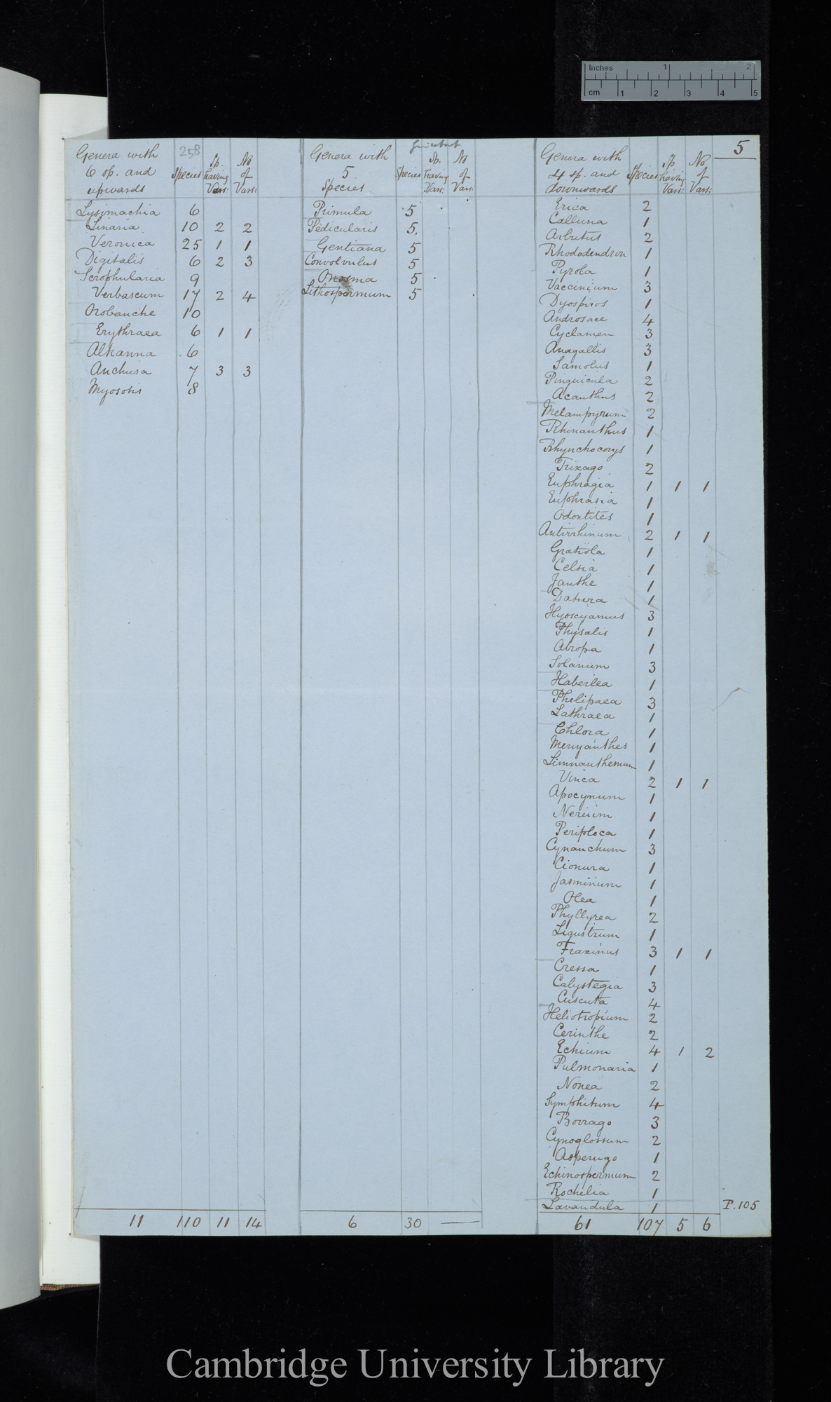 Grisebach / Genera with 6 species &amp; upwards / Genera with 5 species / Genera with 4 species &amp; downwards (table)