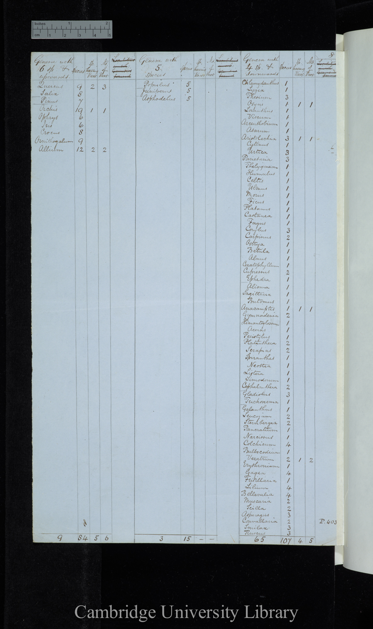 Grisebach / Genera with 6 species &amp; upwards / Genera with 5 species / Genera with 4 species &amp; downwards (table)