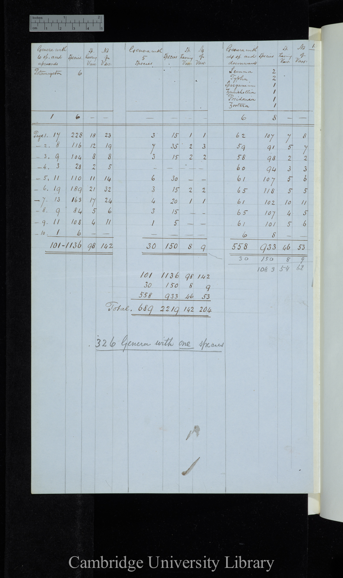 Grisebach / Genera with 6 species &amp; upwards / Genera with 5 species / Genera with 4 species &amp; downwards (table)