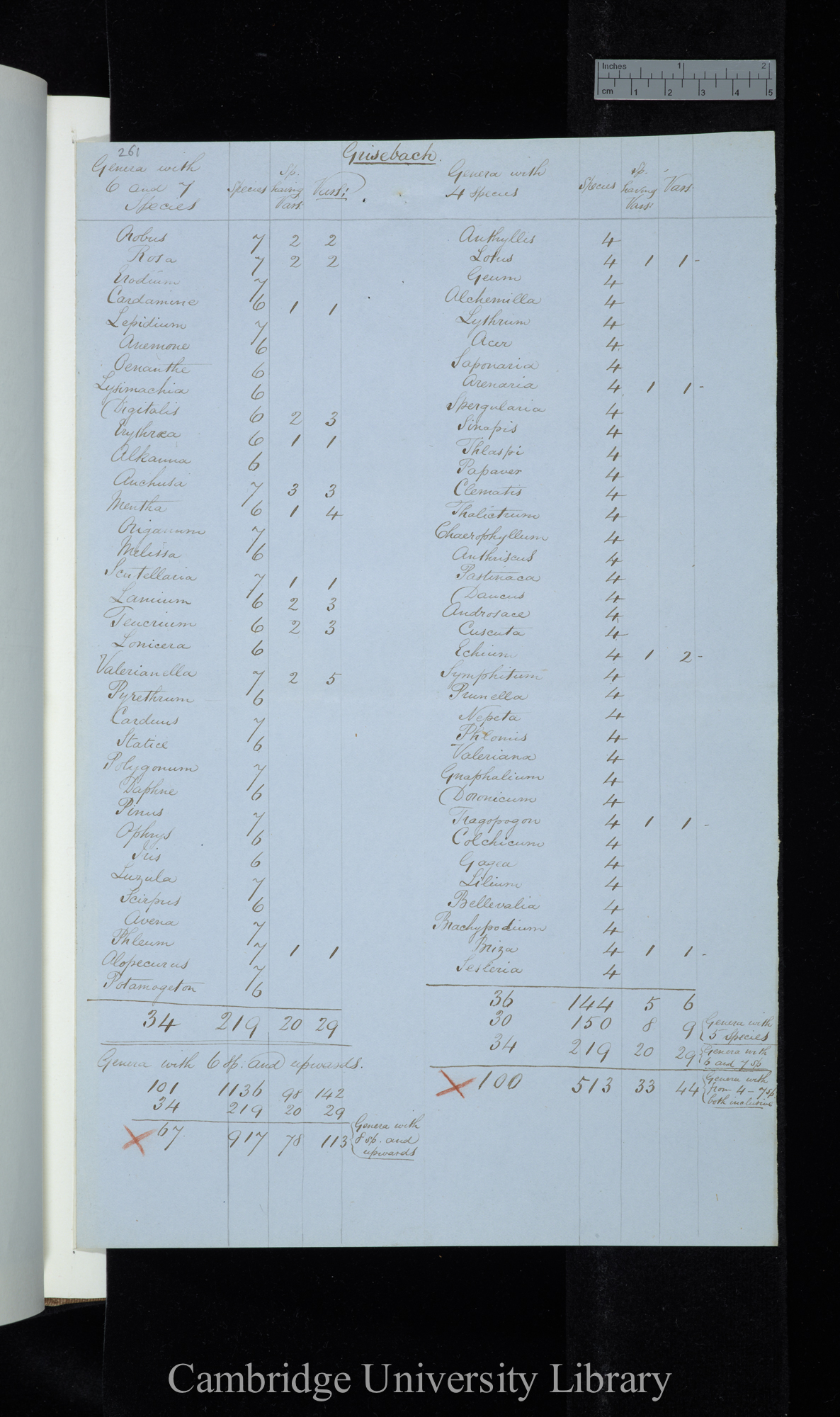 Grisebach / Genera with 6 and 7 species / Genera with 4 species (table)