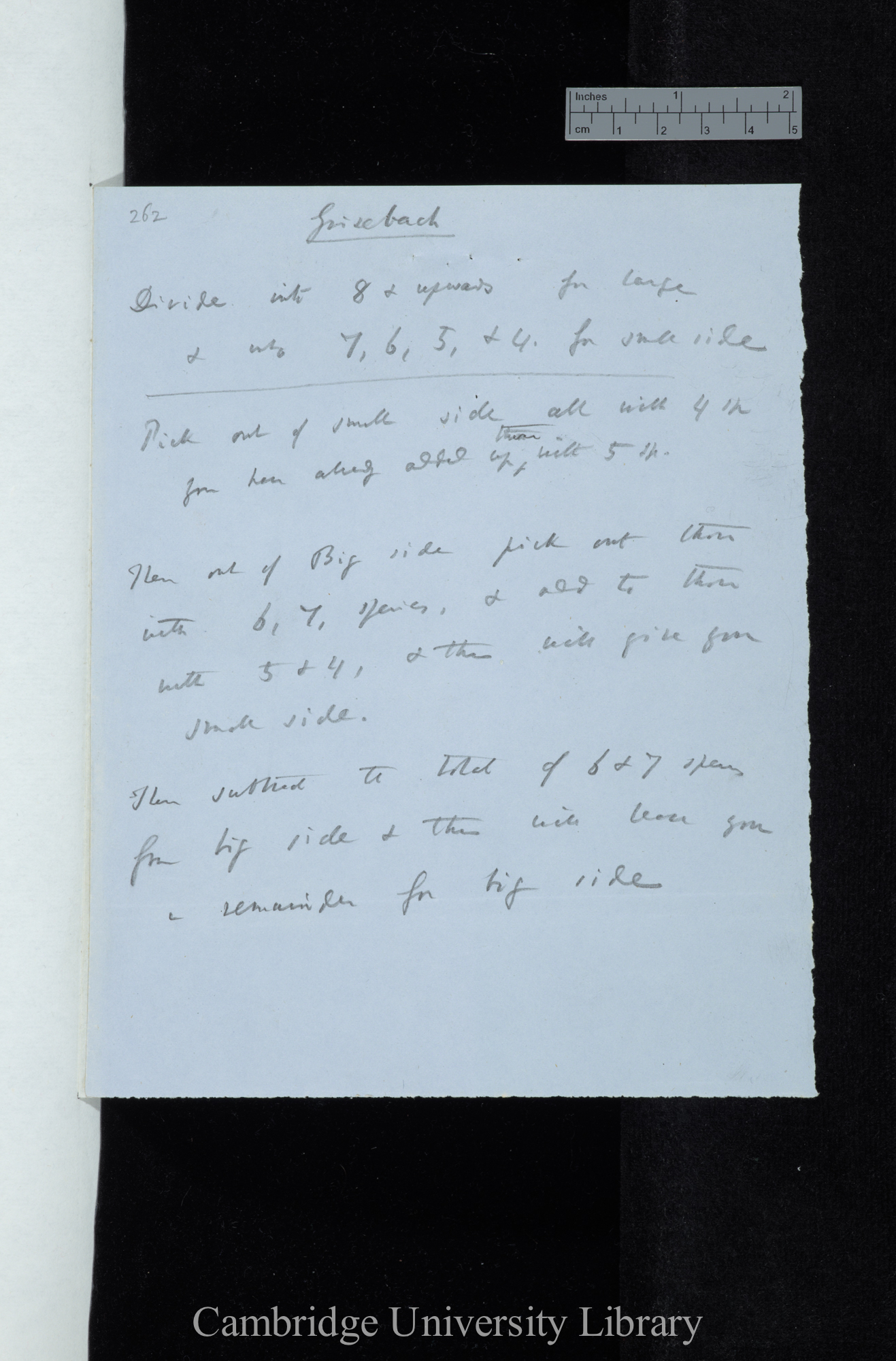 Grisebach / [instructions to Mr Norman?] / Divide into 8 &amp; upwards for large &amp; into 7, 6, 5 &amp; 4 for small side