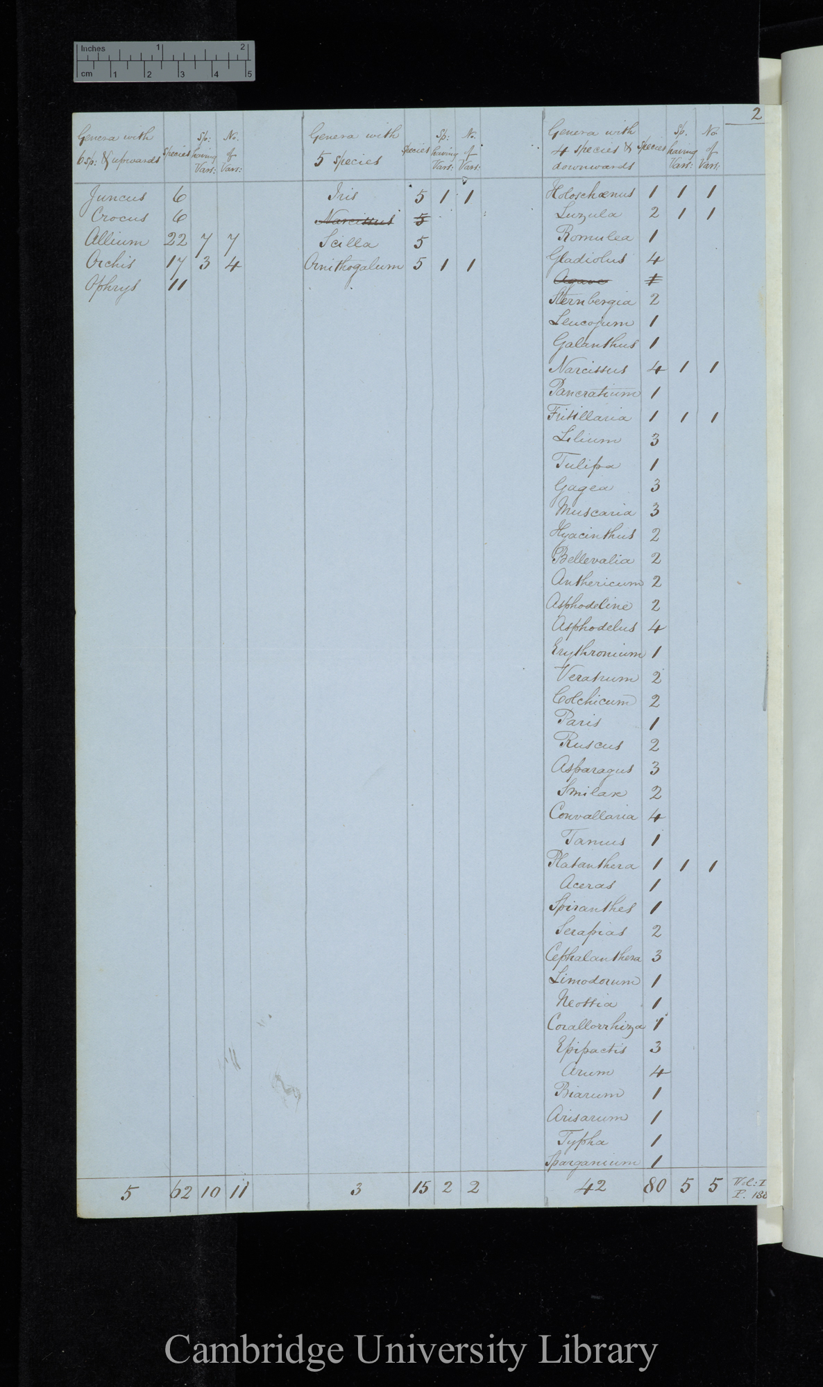 Visiani Flora Dalmatica / Genera with 6 species &amp; upwards / Genera with 5 species /Genera with 4 species &amp; downwards (table)