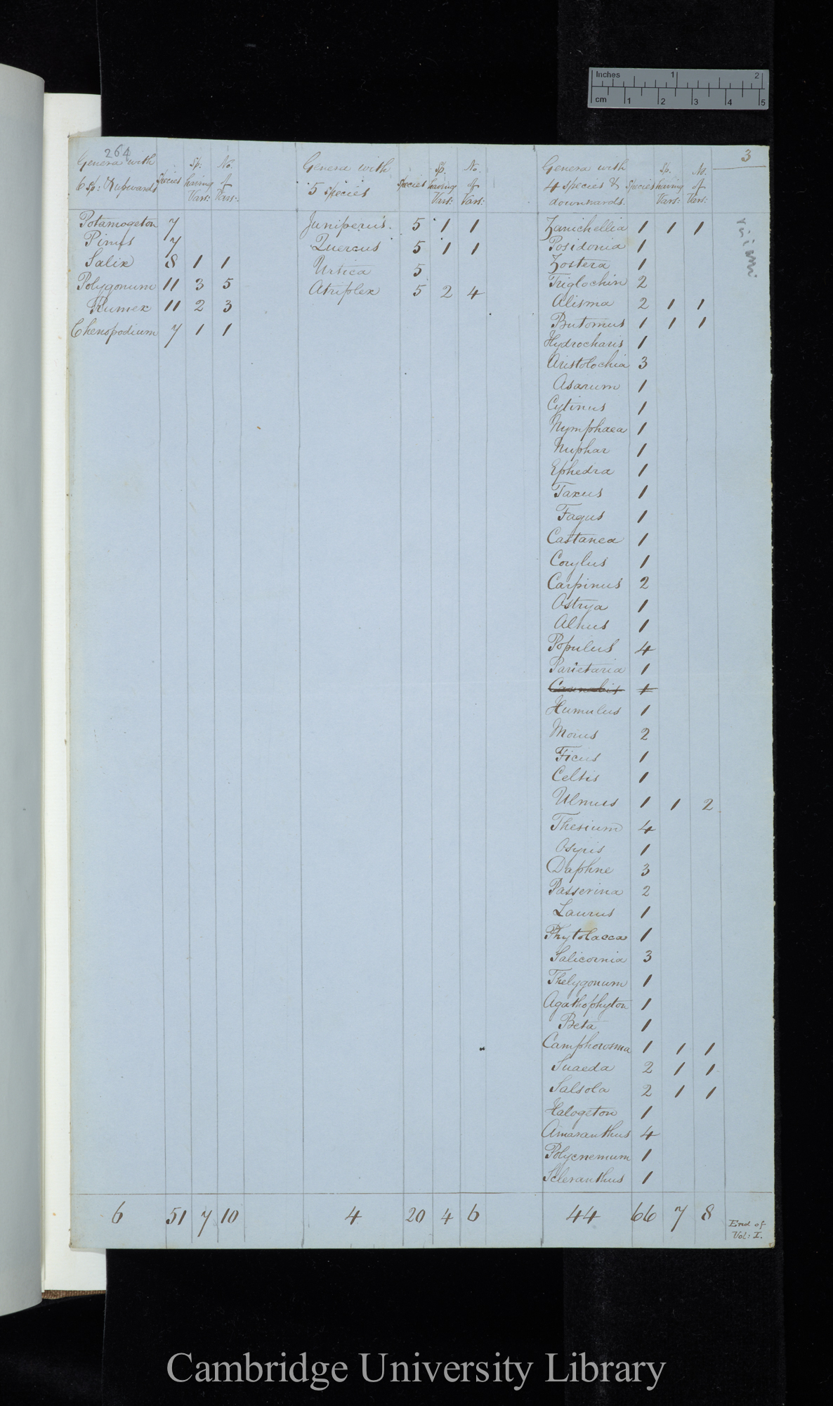 Visiani Flora Dalmatica / Genera with  6 species &amp; upwards / Genera with 5 species /Genera with 4 species &amp; downwards (table)