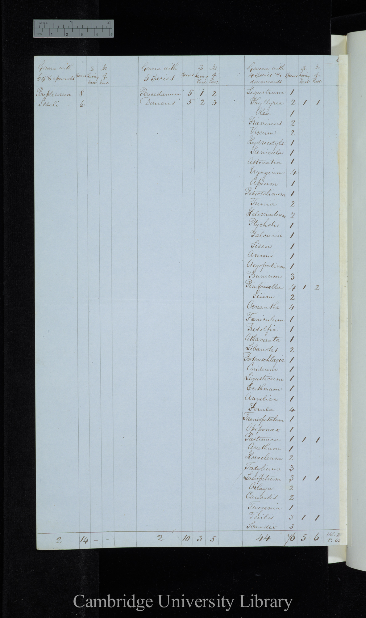 Visiani Flora Dalmatica / Genera with 6 species &amp; upwards / Genera with 5 species /Genera with 4 species &amp; downwards (table)