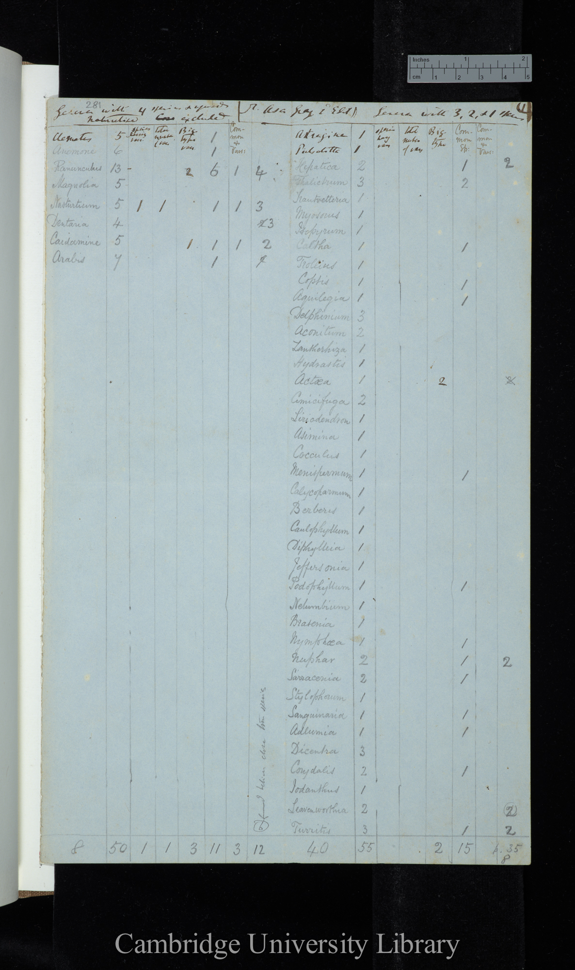 Dr Asa Gray 2d Edit / Genera with 4 species &amp; upwards Naturalised excluded / genera with 3-1 species (table)