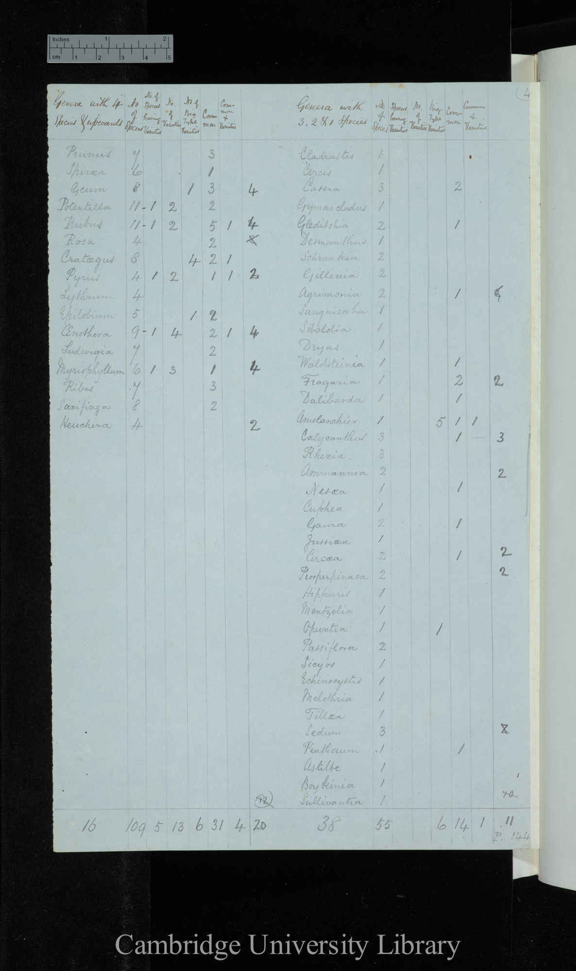 Dr Asa Gray 2d Edit / Genera with 4 species &amp; upwards Naturalised excluded / genera with 3-1 species (table)