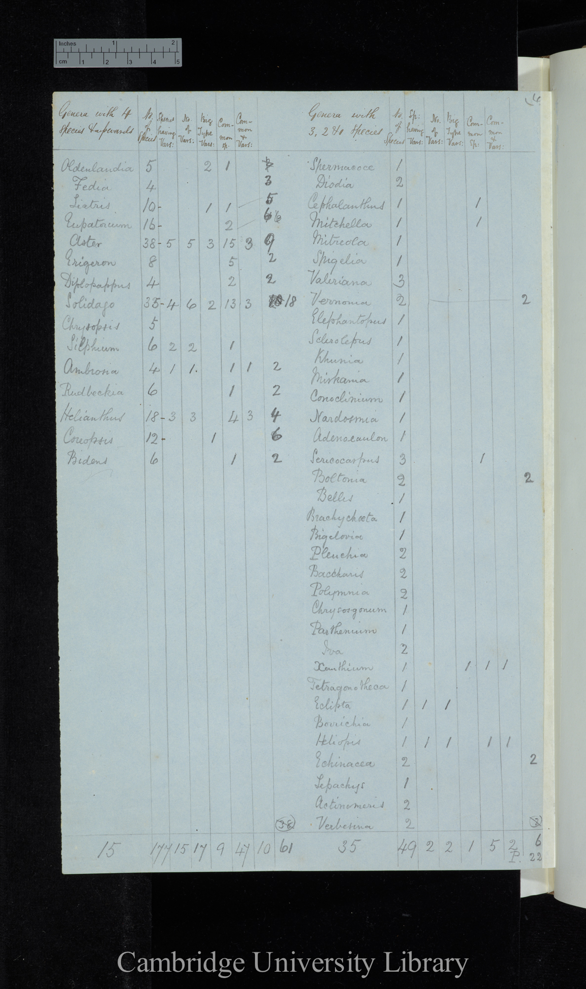 Dr Asa Gray 2d Edit / Genera with 4 species &amp; upwards Naturalised excluded / genera with 3-1 species (table)