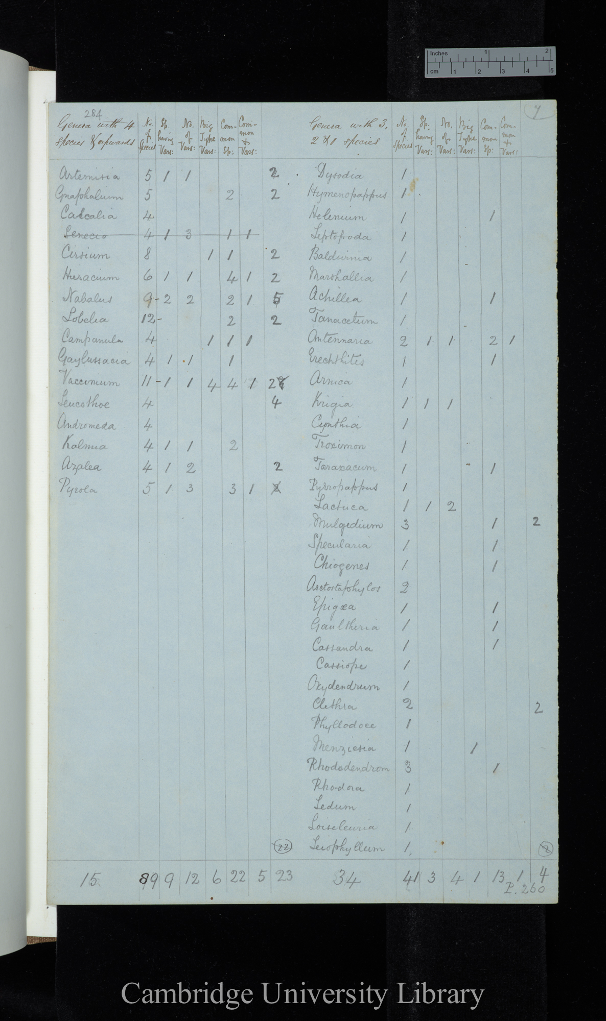 Dr Asa Gray 2d Edit / Genera with 4 species &amp; upwards Naturalised excluded / genera with 3-1 species (table)