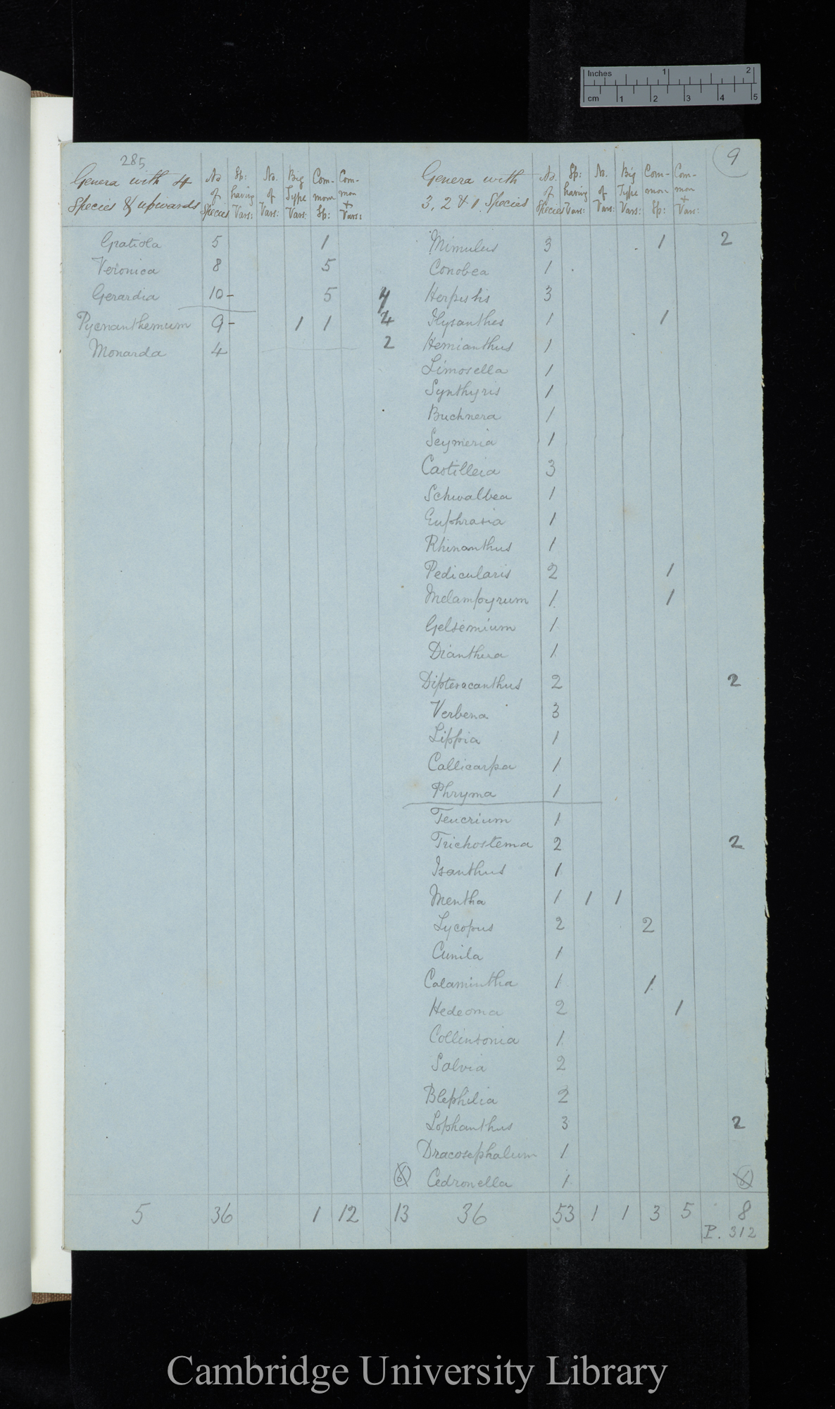 Dr Asa Gray 2d Edit / Genera with 4 species &amp; upwards Naturalised excluded / genera with 3-1 species (table)