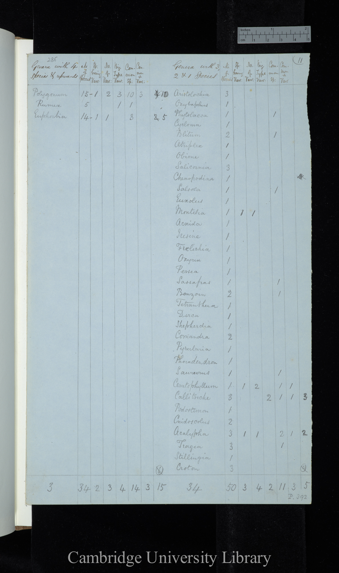 Dr Asa Gray 2d Edit / Genera with 4 species &amp; upwards Naturalised excluded / genera with 3-1 species (table)