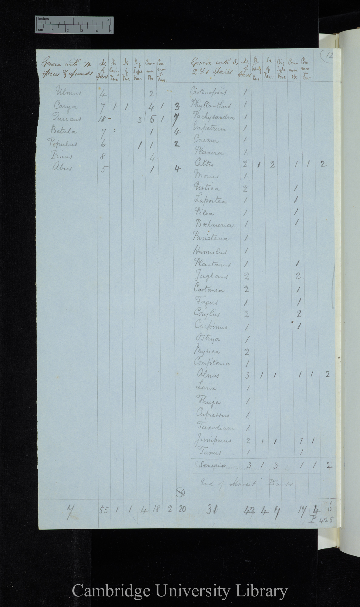 Dr Asa Gray 2d Edit / Genera with 4 species &amp; upwards Naturalised excluded / genera with 3-1 species (table)