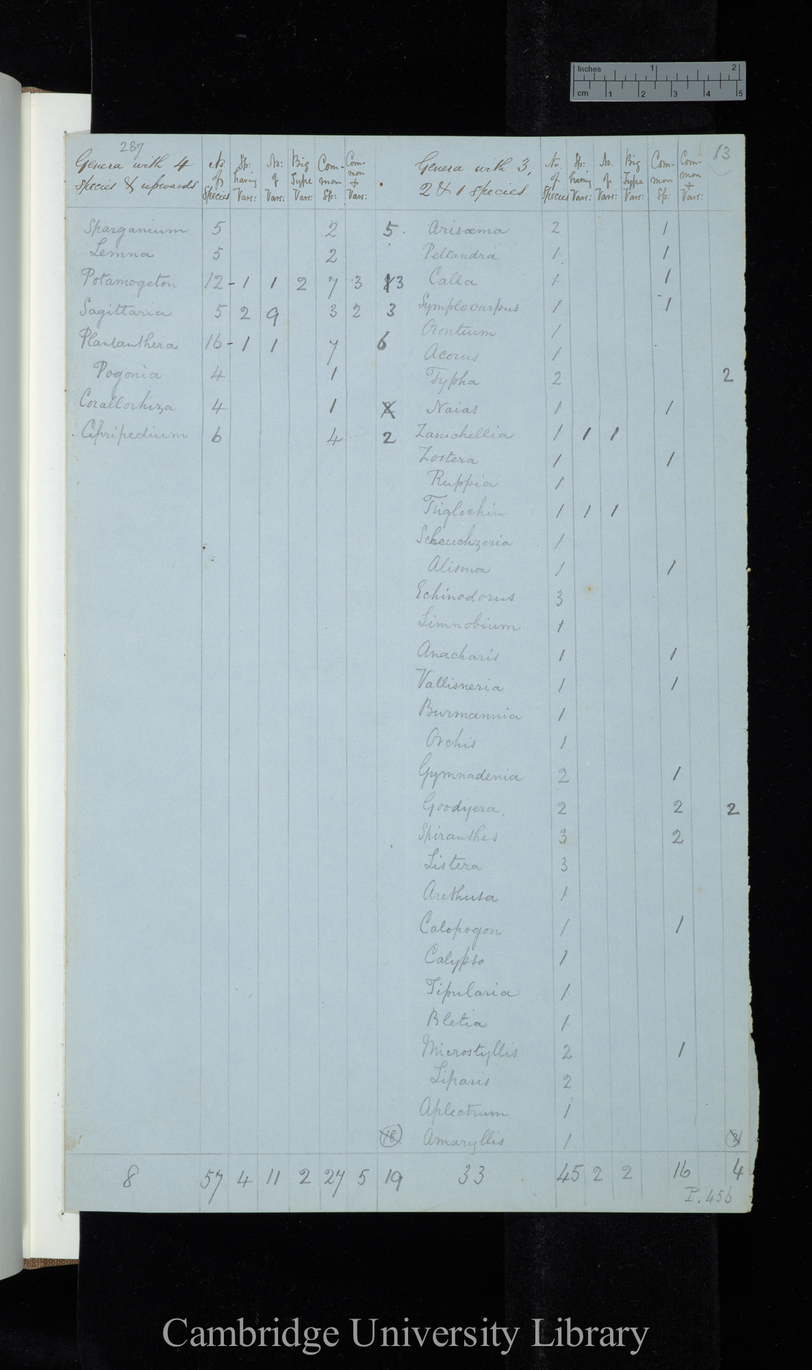 Dr Asa Gray 2d Edit / Genera with 4 species &amp; upwards Naturalised excluded / genera with 3-1 species (table)