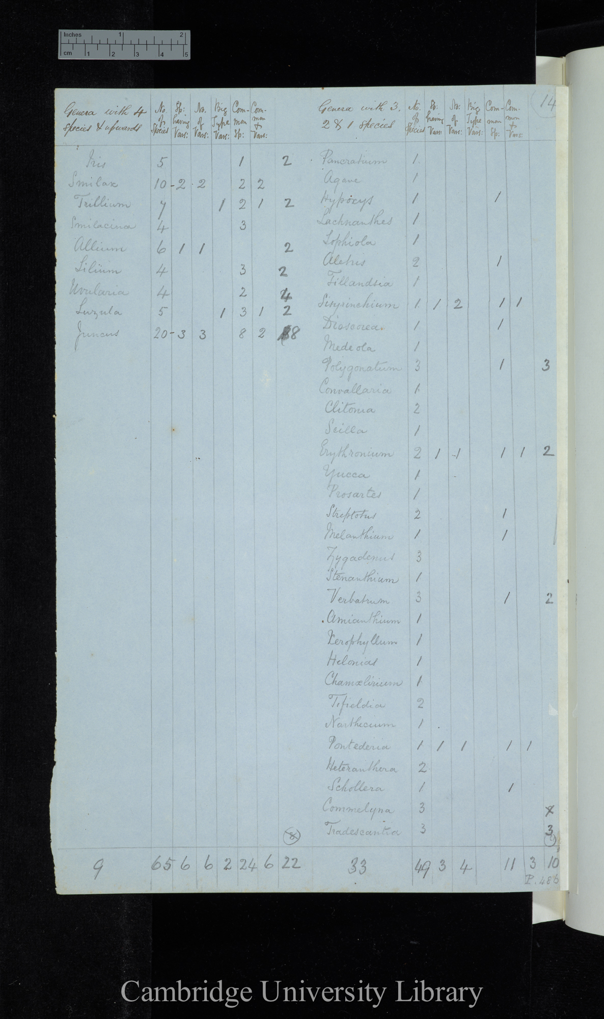 Dr Asa Gray 2d Edit / Genera with 4 species &amp; upwards Naturalised excluded / genera with 3-1 species (table)