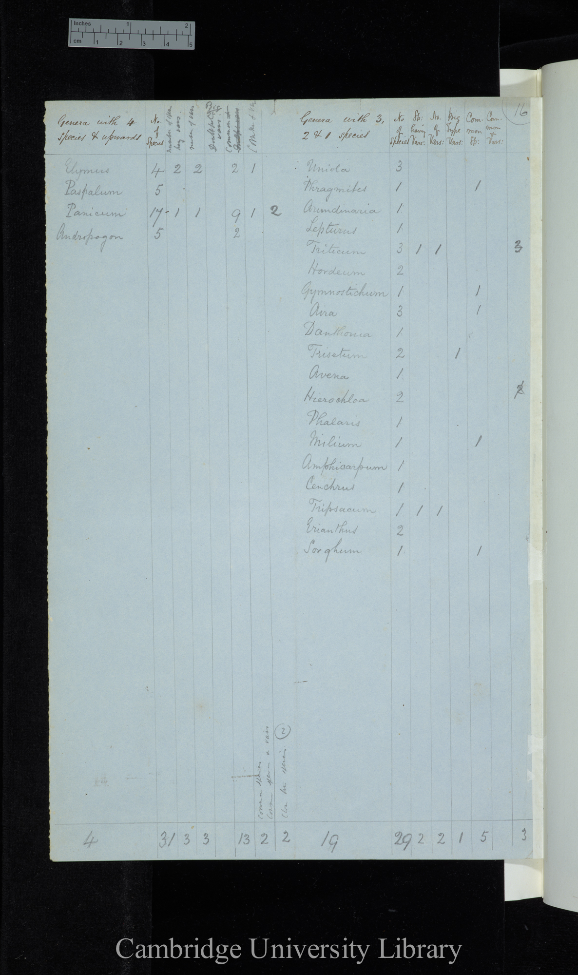 Dr Asa Gray 2d Edit / Genera with 4 species &amp; upwards Naturalised excluded / genera with 3-1 species (table)