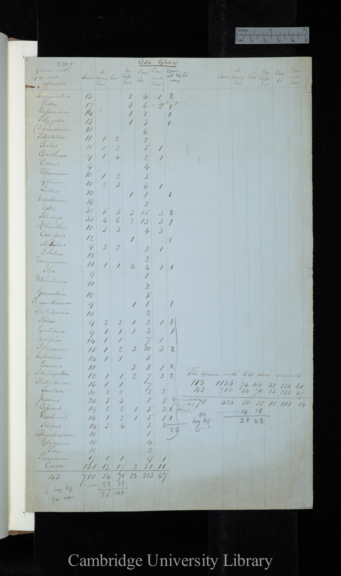 Asa Gray / [instructions to Mr Norman?] / Genera with 9 sp[ecies] and upwards (table)