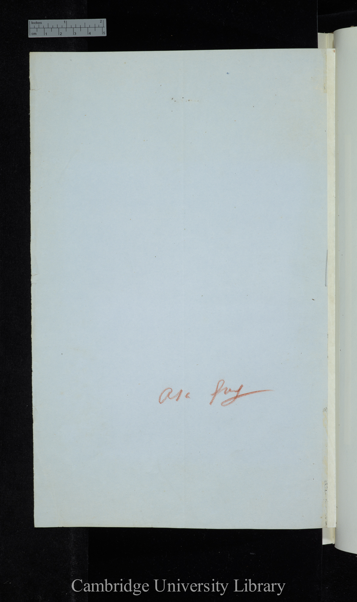 Asa Gray / [instructions to Mr Norman?] / Genera with 9 sp[ecies] and upwards (table)