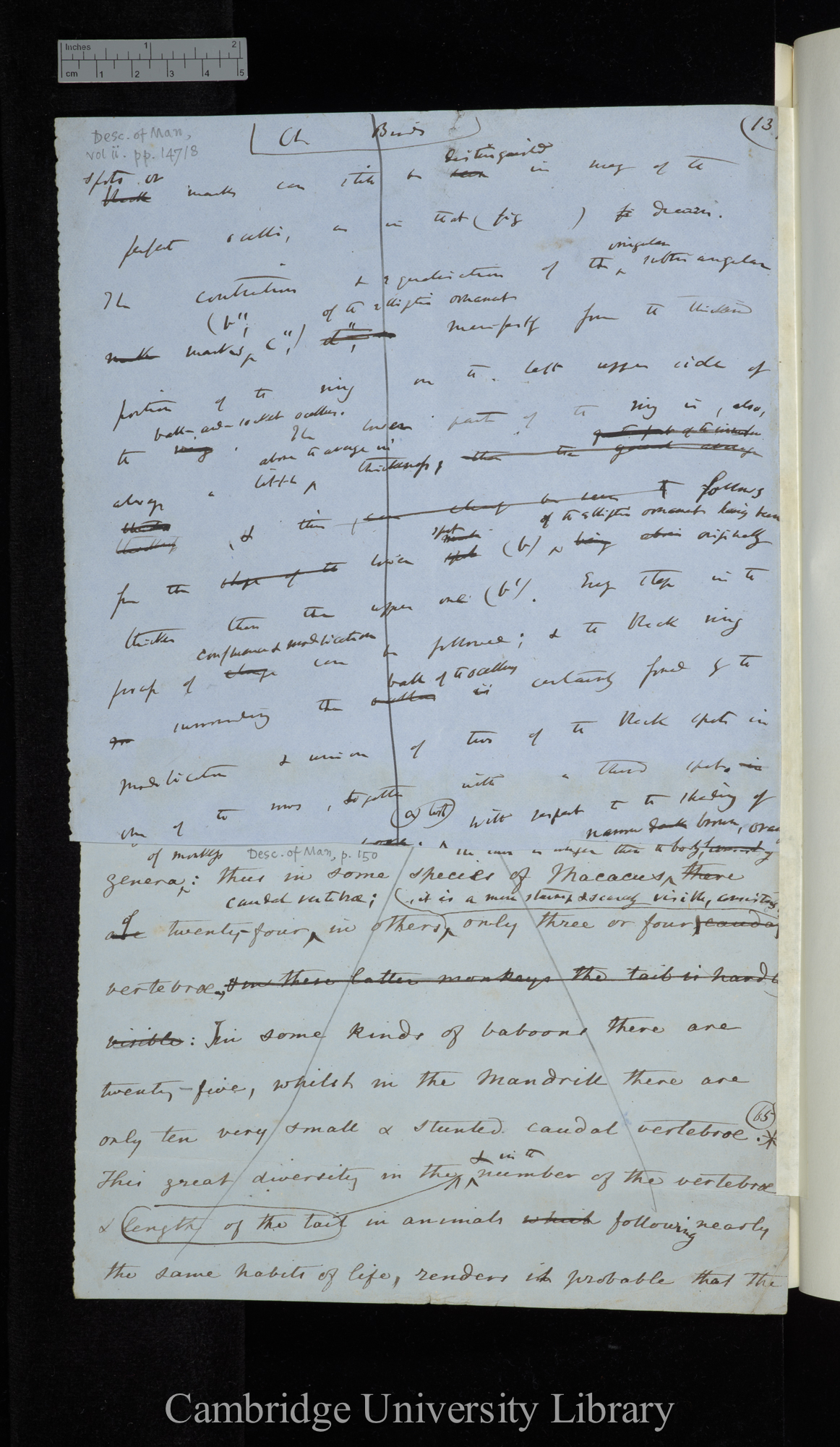 verso of &#39;Expression&#39; 1st edn: 171-172