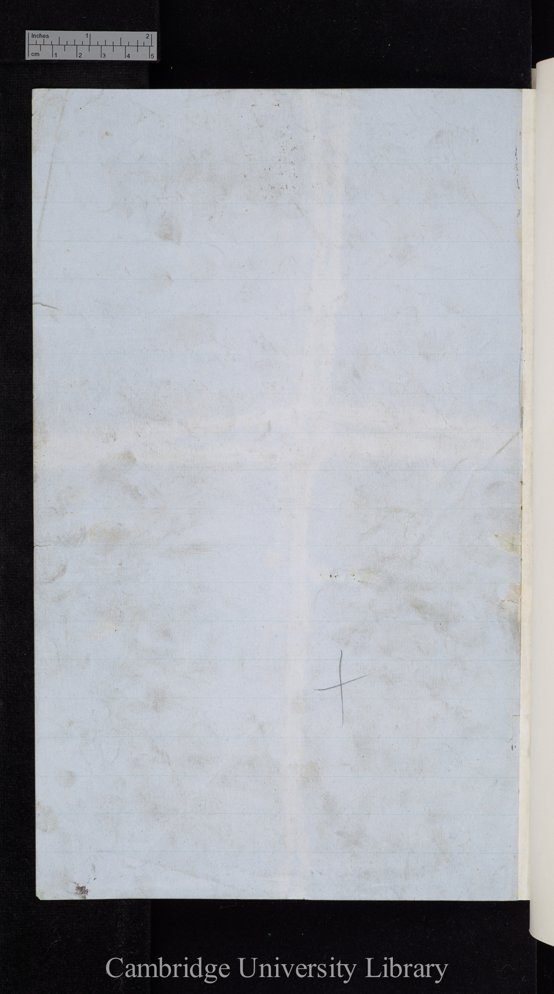 verso of Ms p 103