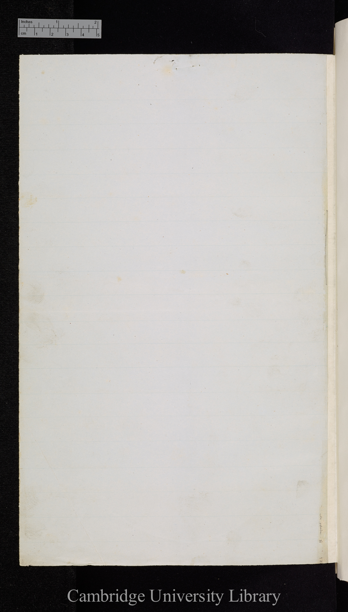 verso of Ms p 184