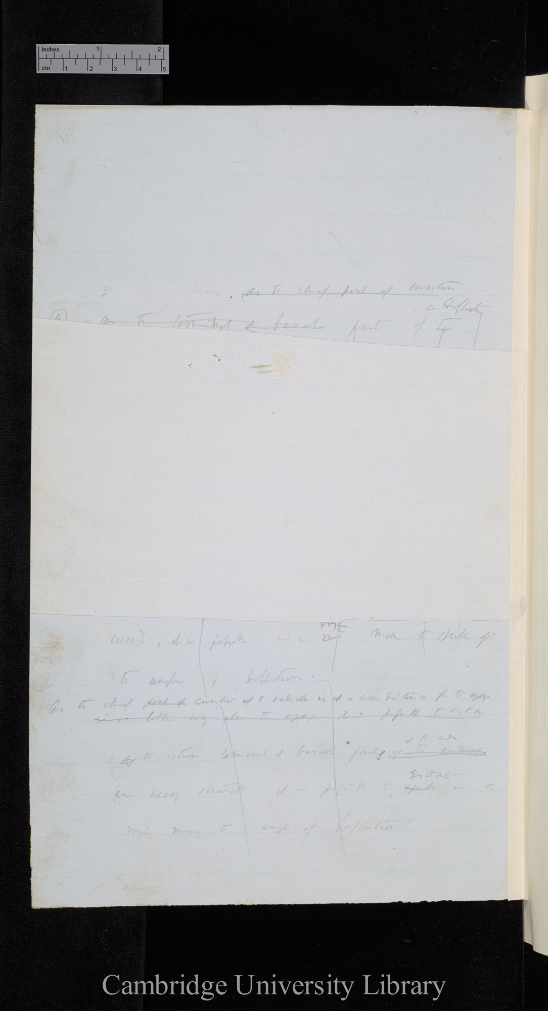 verso of Ms p 195