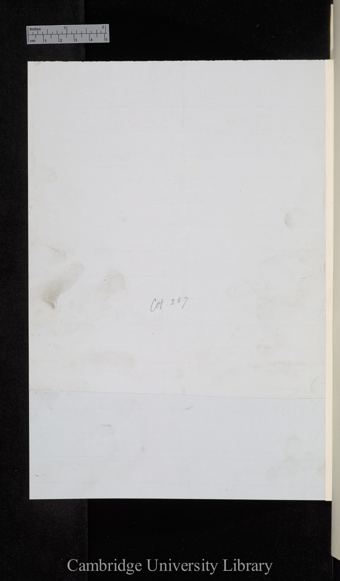 verso of Ms p 256