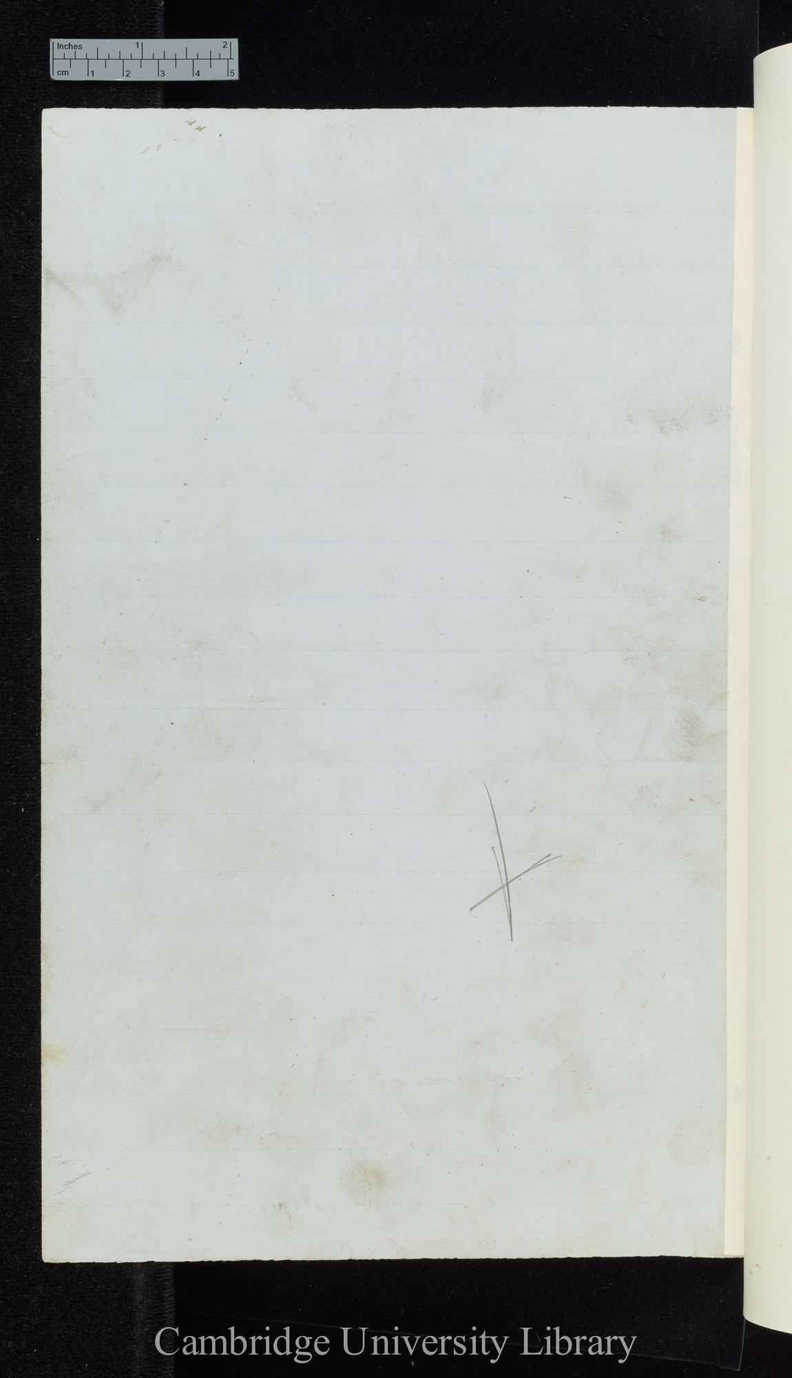 verso of Ms p 491