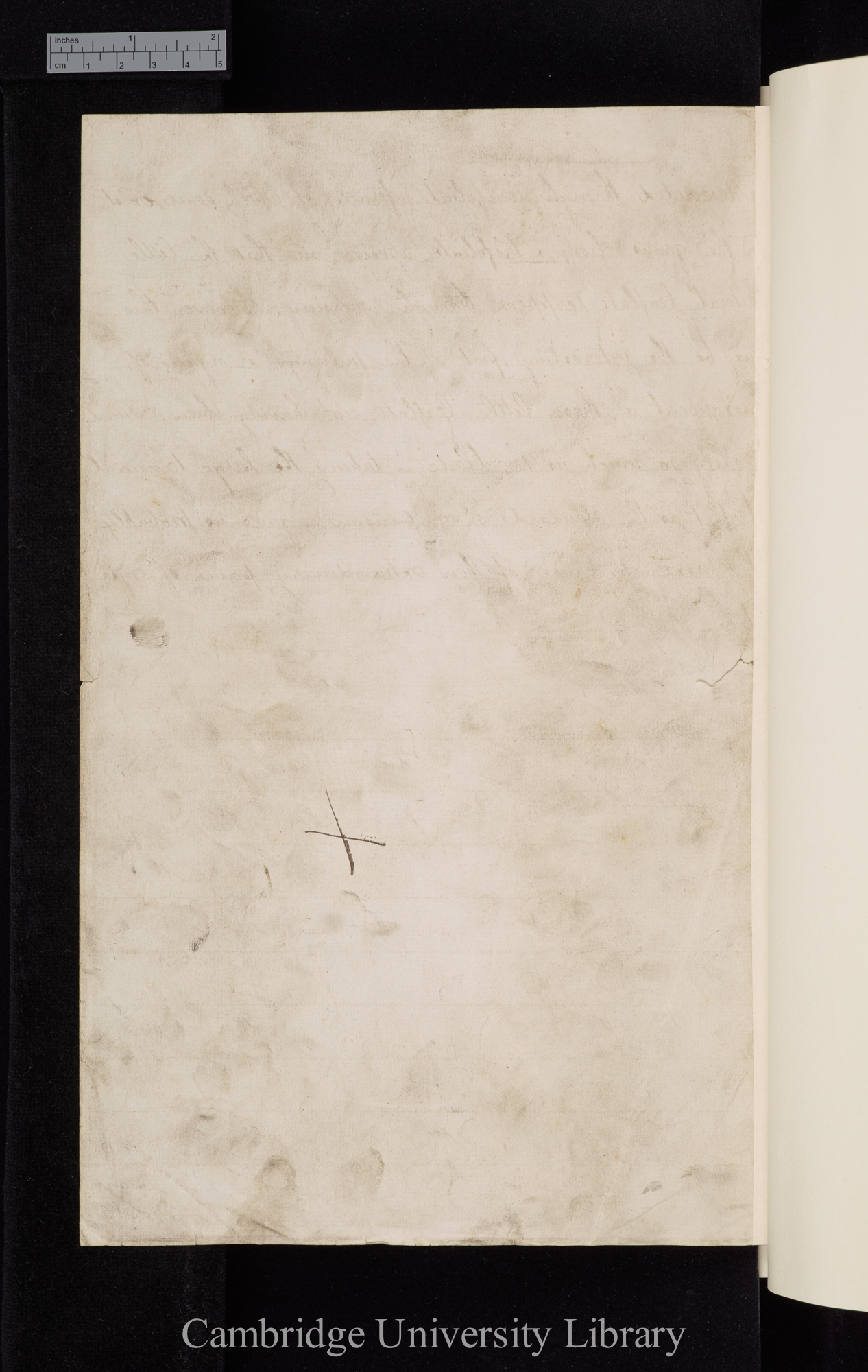 verso of Ms p 148