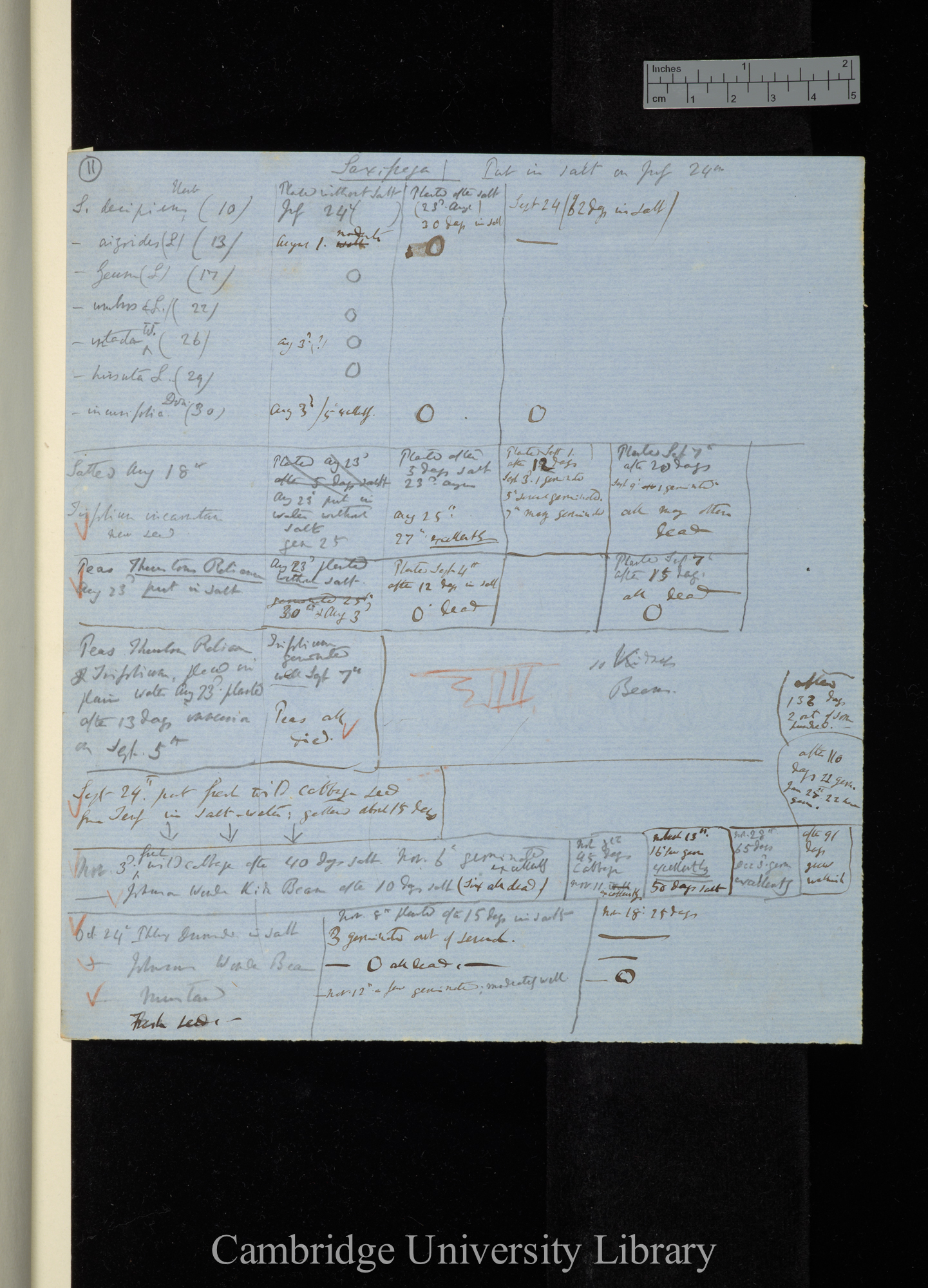 (table of performance of seeds immersed in salt water)