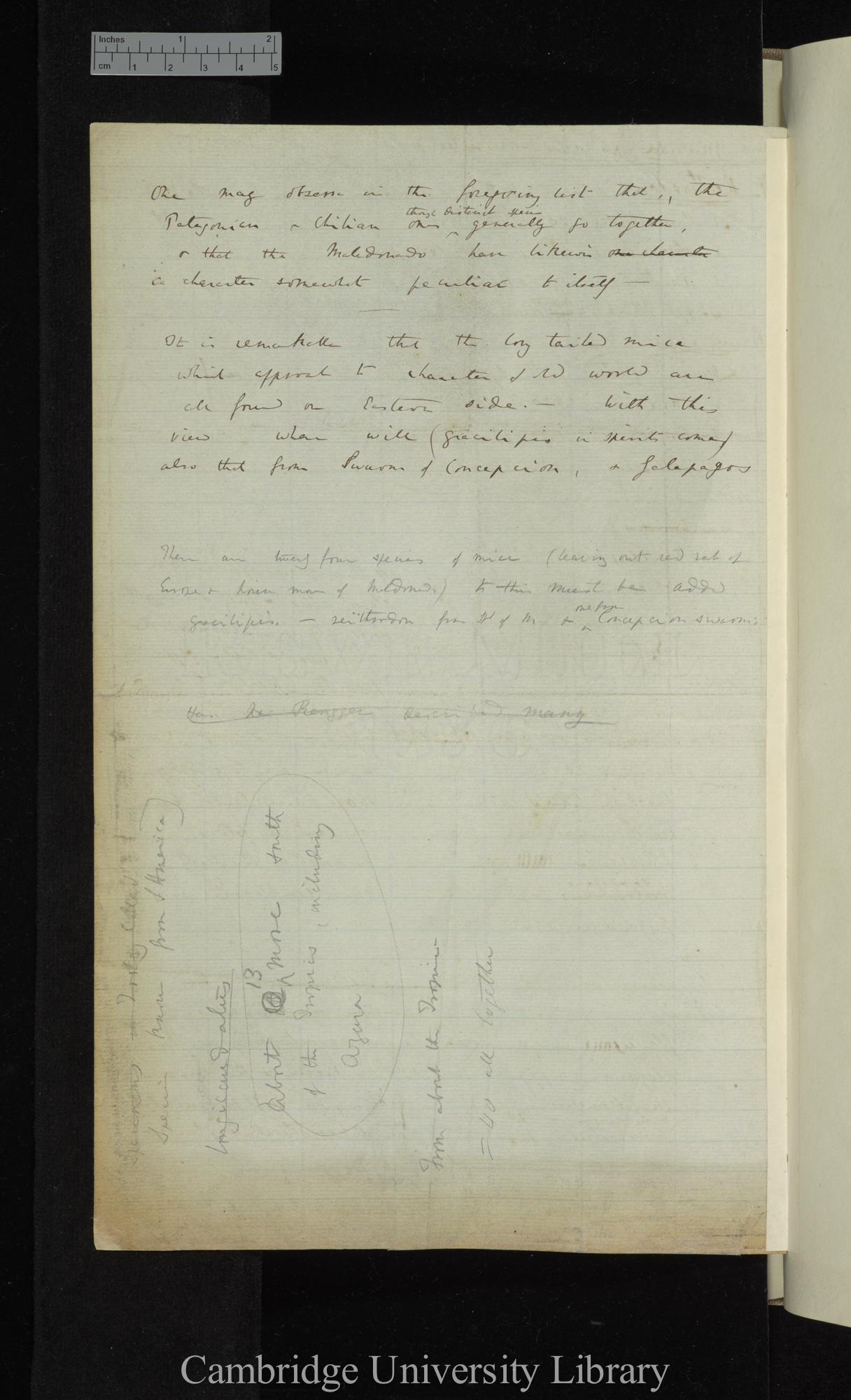 CD notes on verso of Waterhouse list