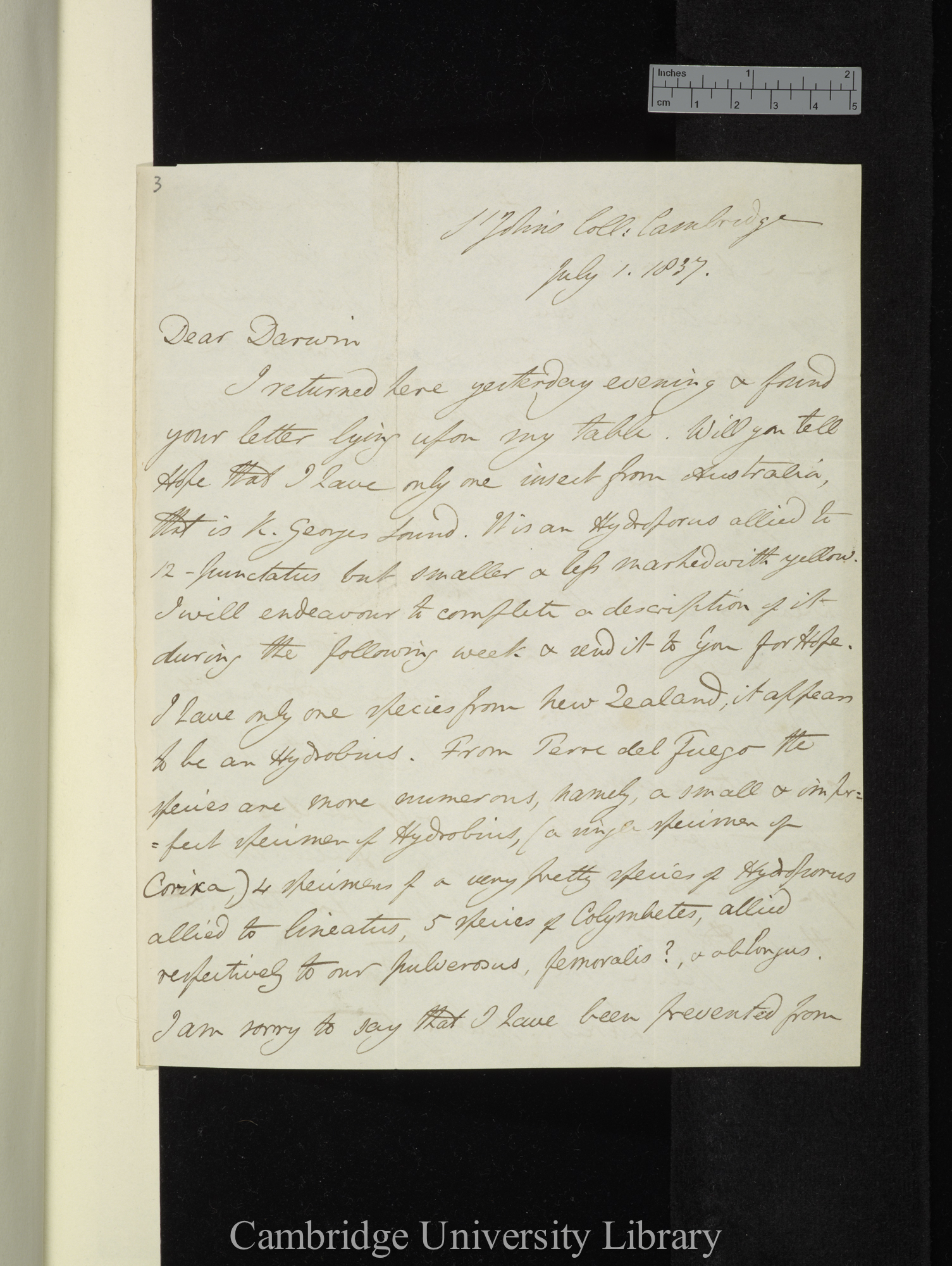 Charles Cardale Babington to Charles Robert Darwin