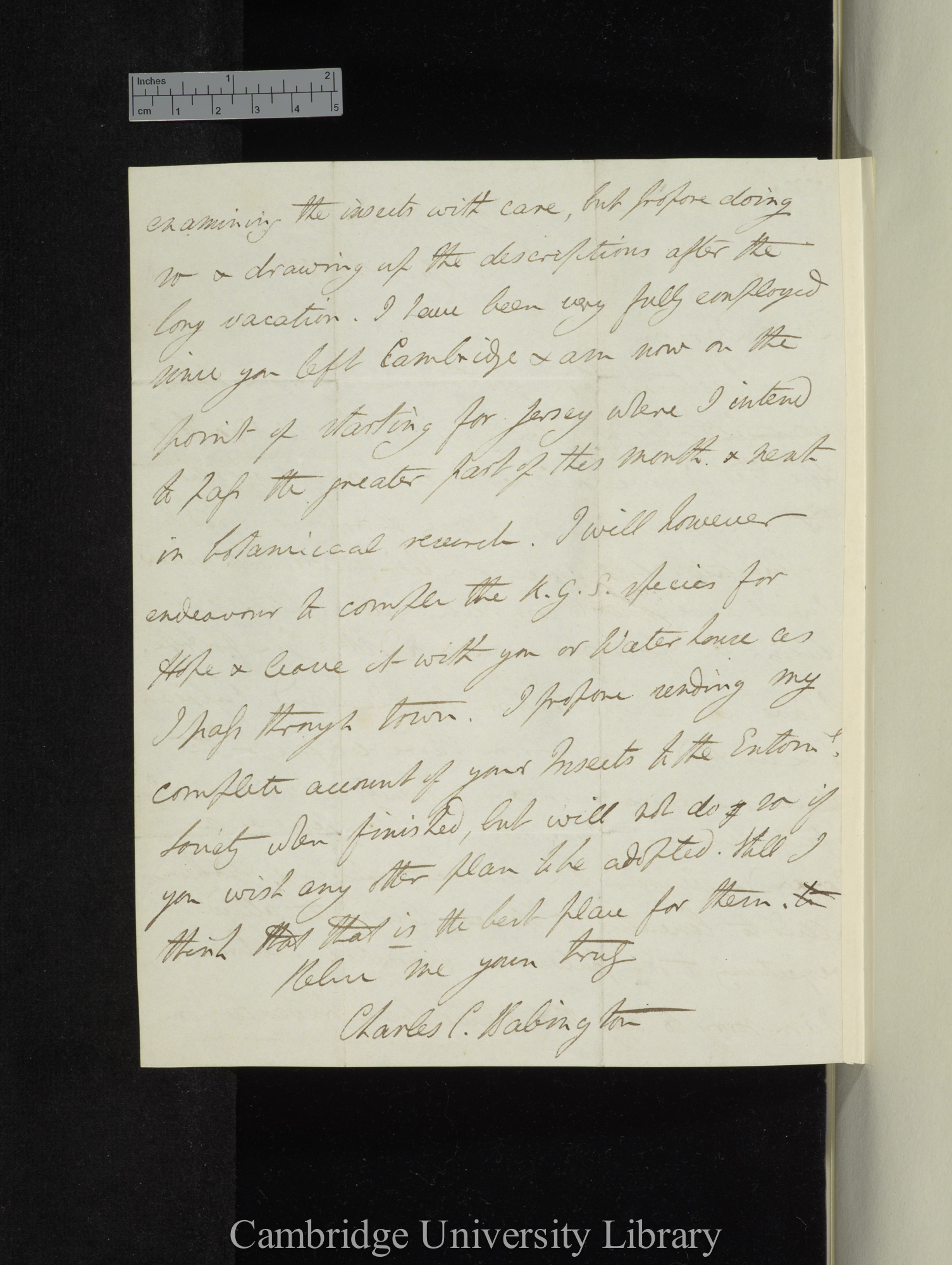 Charles Cardale Babington to Charles Robert Darwin