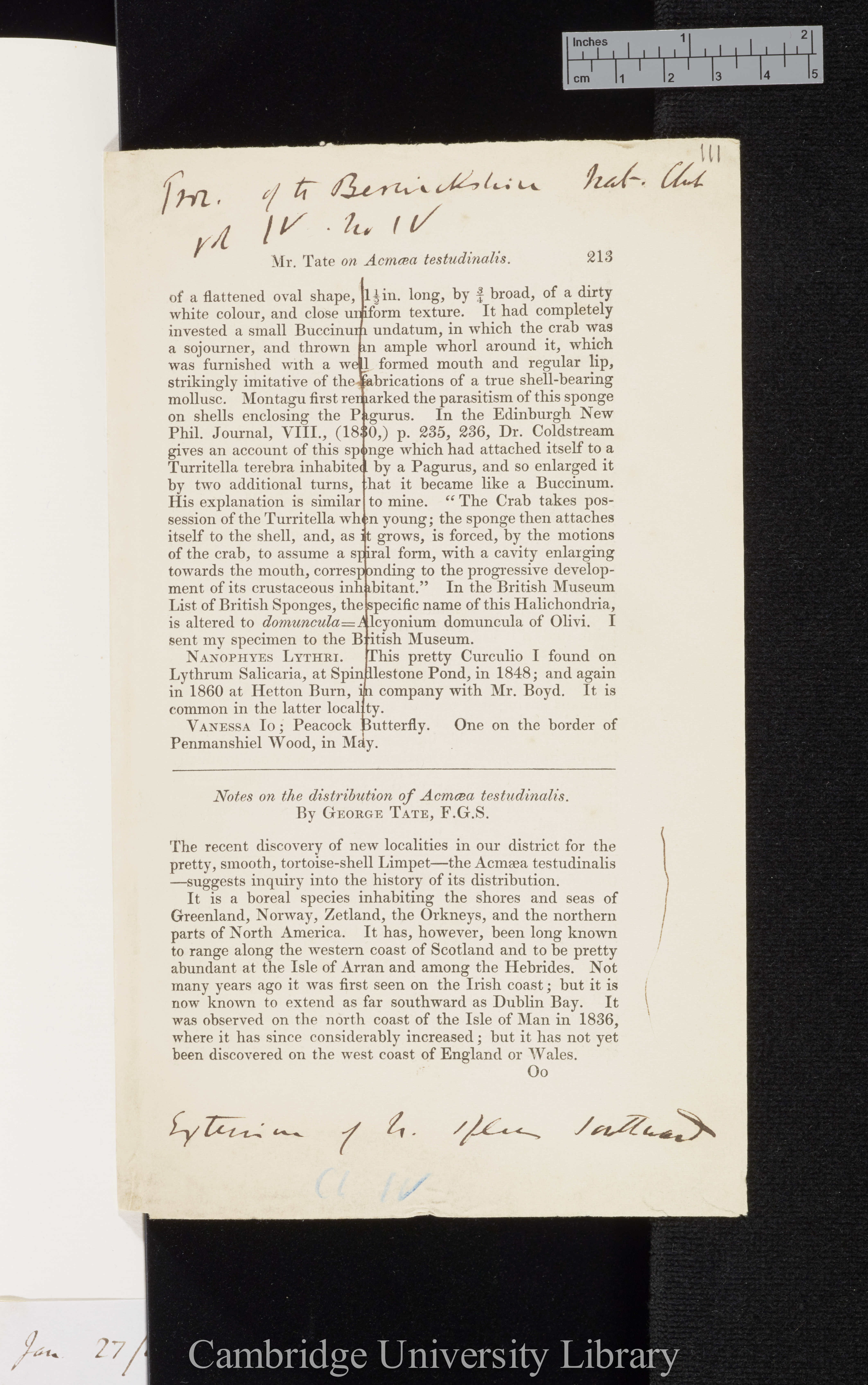 Tate, George. Notes on the distribution of Acmaea testudinalis &#39;Berwickshire Naturalists&#39; Club (Proceedings)&#39; 4: 213