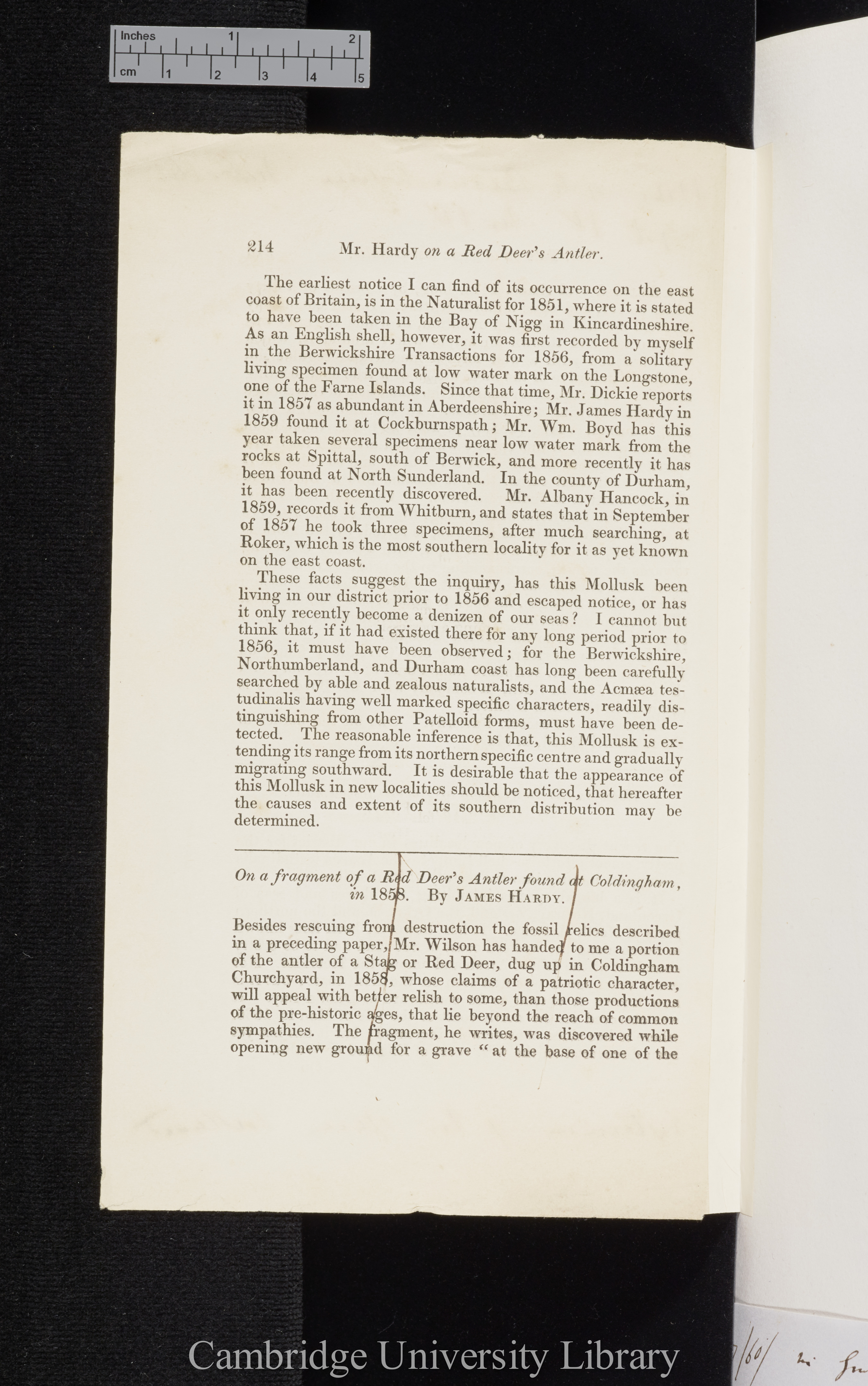 Tate, George. Notes on the distribution of Acmaea testudinalis &#39;Berwickshire Naturalists&#39; Club (Proceedings)&#39; 4: 214