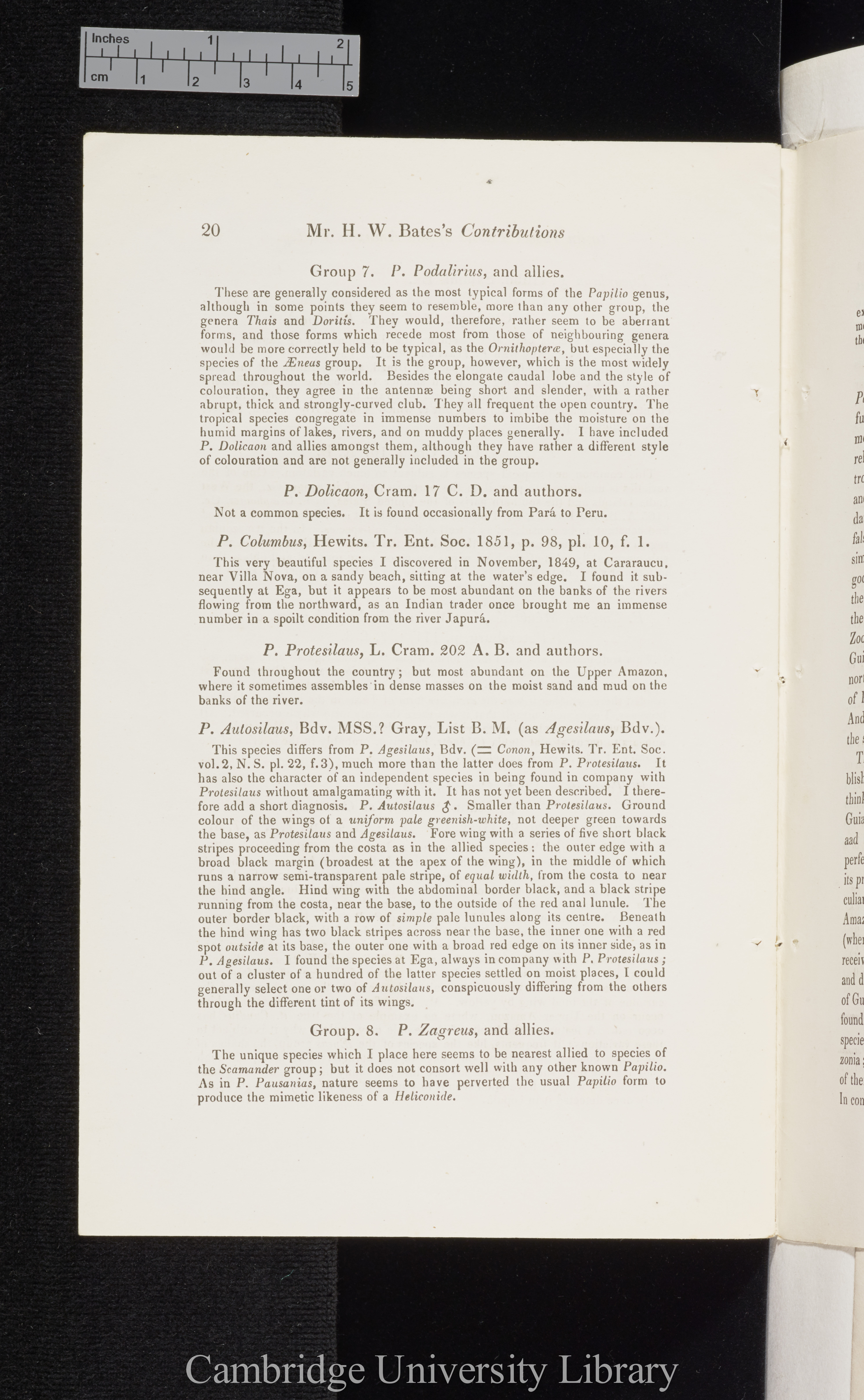 Bates, Henry Walter. Contributions to an insect fauna of the Amazon valley I: Diurnal Lepidoptera &#39;Entomological Society (Transactions)&#39; 2s 5: 335-361 [20]