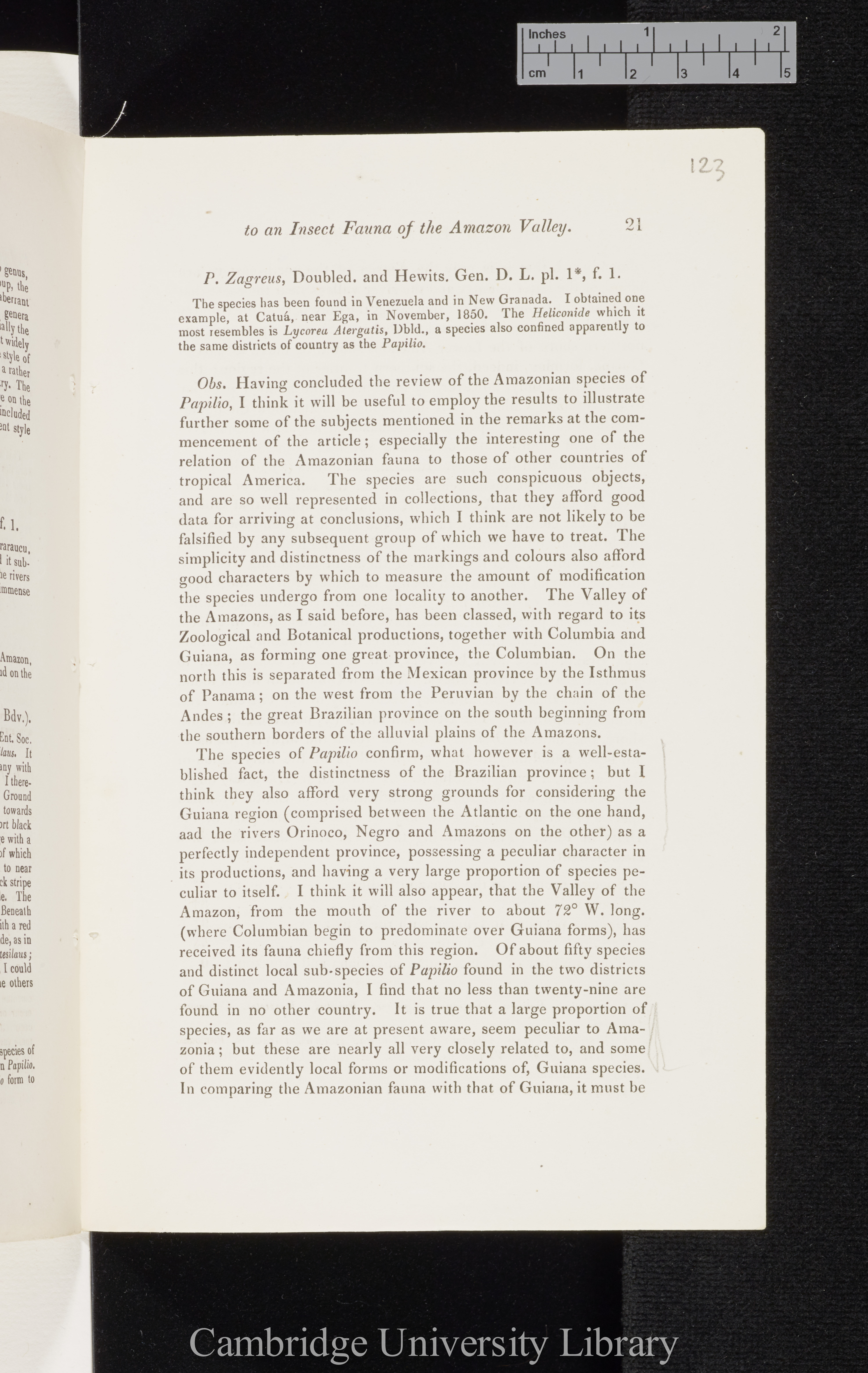 Bates, Henry Walter. Contributions to an insect fauna of the Amazon valley I: Diurnal Lepidoptera &#39;Entomological Society (Transactions)&#39; 2s 5: 335-361 [21]