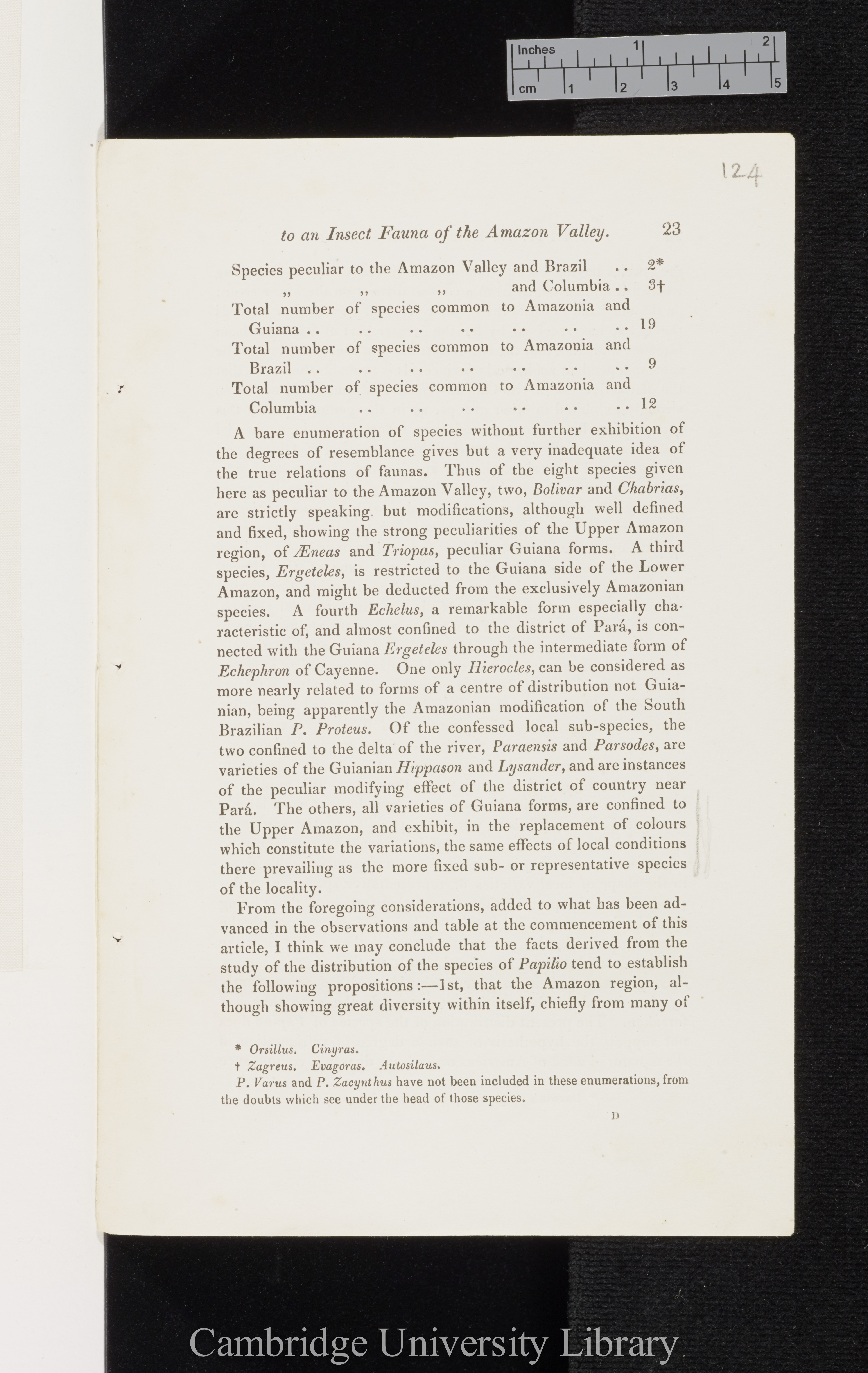 Bates, Henry Walter. Contributions to an insect fauna of the Amazon valley I: Diurnal Lepidoptera &#39;Entomological Society (Transactions)&#39; 2s 5: 335-361 [23]