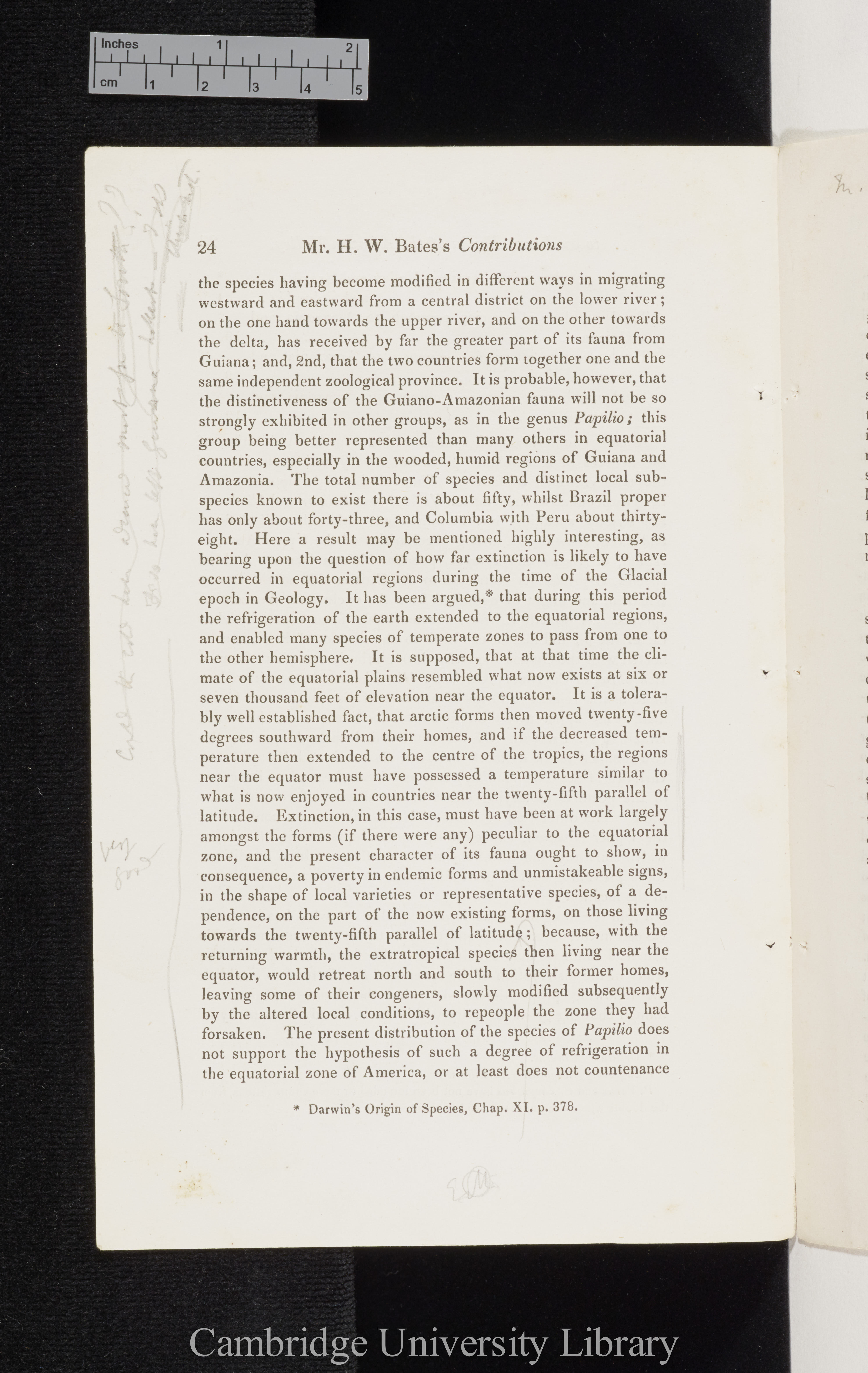 Bates, Henry Walter. Contributions to an insect fauna of the Amazon valley I: Diurnal Lepidoptera &#39;Entomological Society (Transactions)&#39; 2s 5: 335-361 [24]