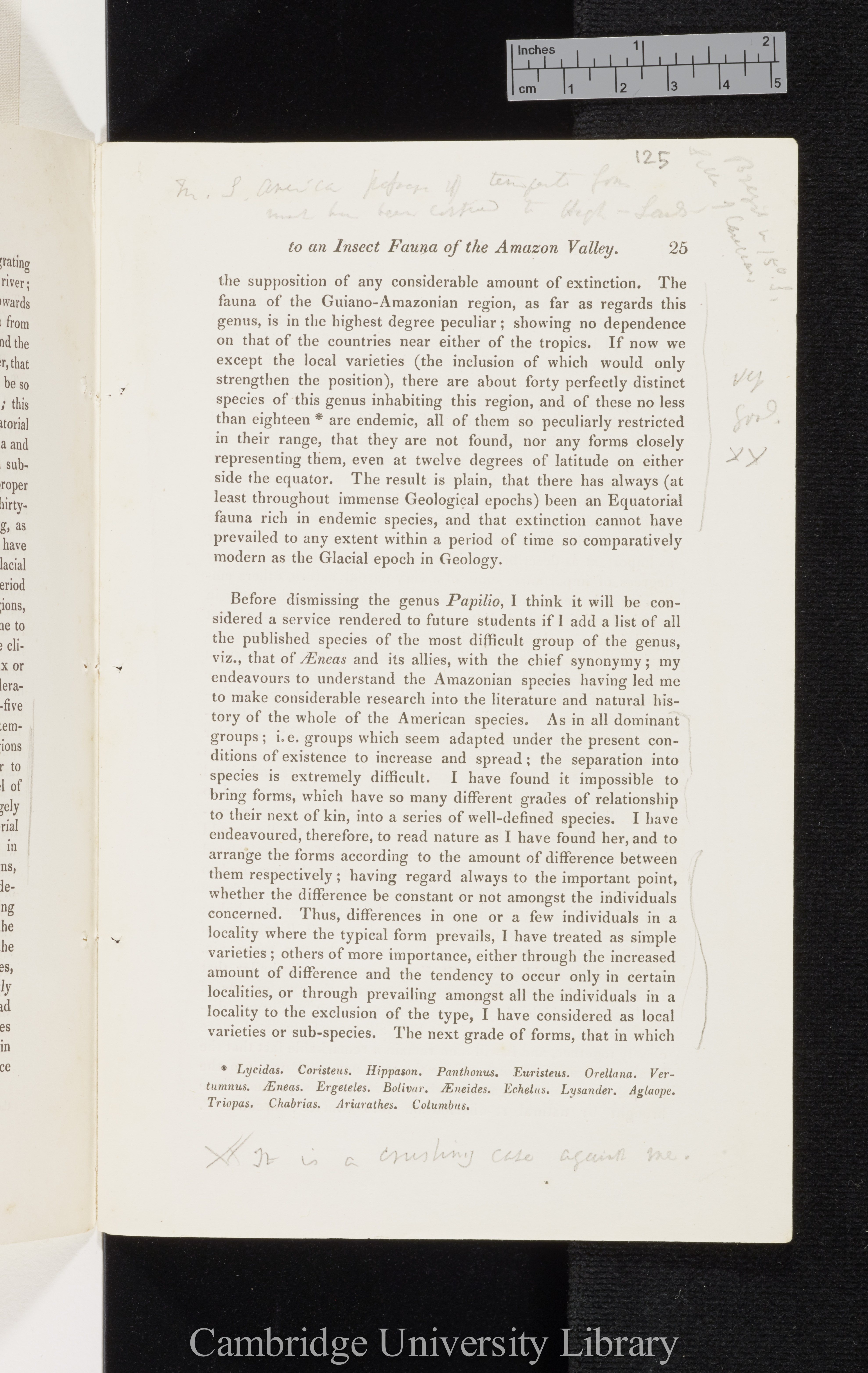 Bates, Henry Walter. Contributions to an insect fauna of the Amazon valley I: Diurnal Lepidoptera &#39;Entomological Society (Transactions)&#39; 2s 5: 335-361 [25]