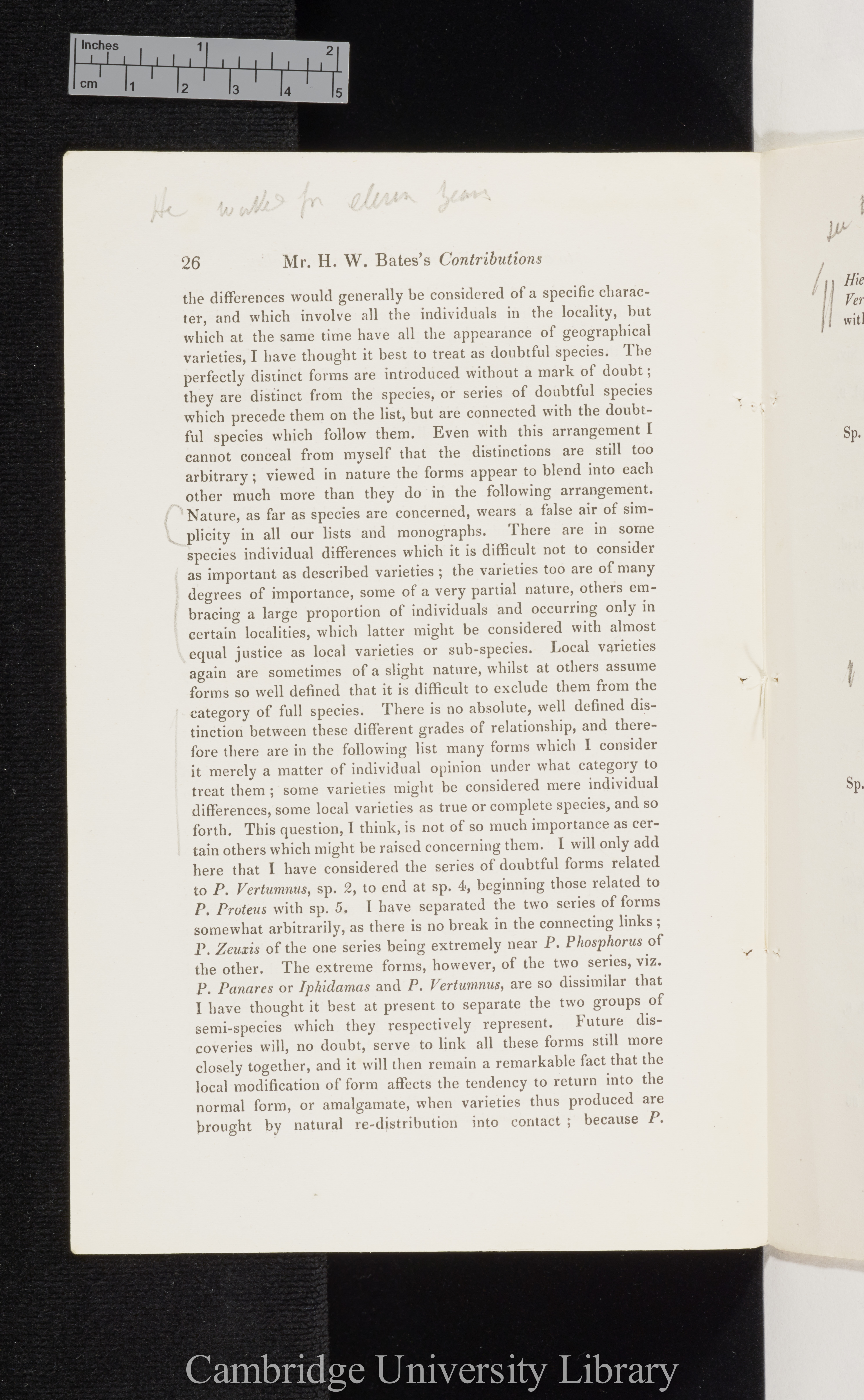 Bates, Henry Walter. Contributions to an insect fauna of the Amazon valley I: Diurnal Lepidoptera &#39;Entomological Society (Transactions)&#39; 2s 5: 335-361 [26]