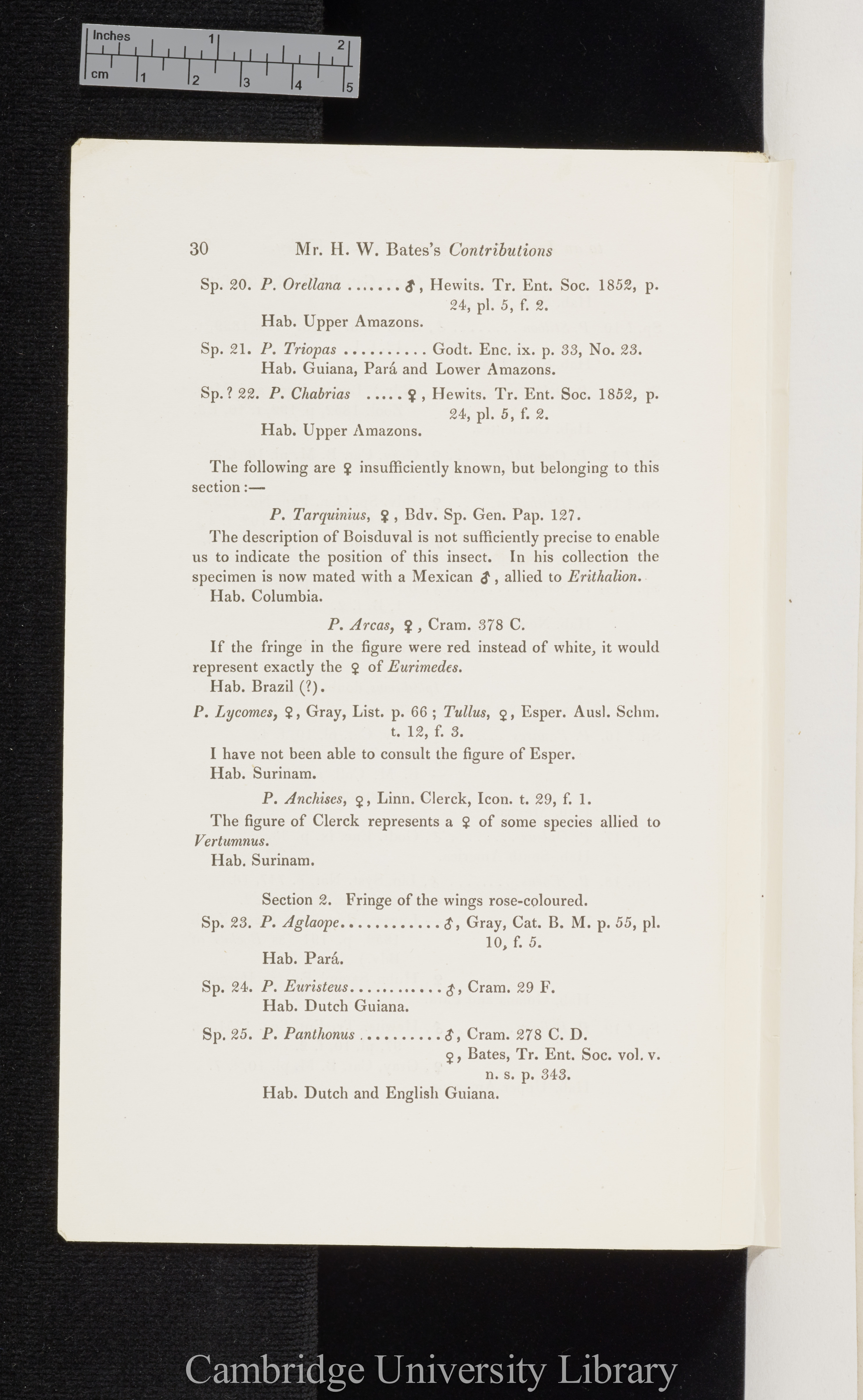 Bates, Henry Walter. Contributions to an insect fauna of the Amazon valley I: Diurnal Lepidoptera &#39;Entomological Society (Transactions)&#39; 2s 5: 335-361 [30]